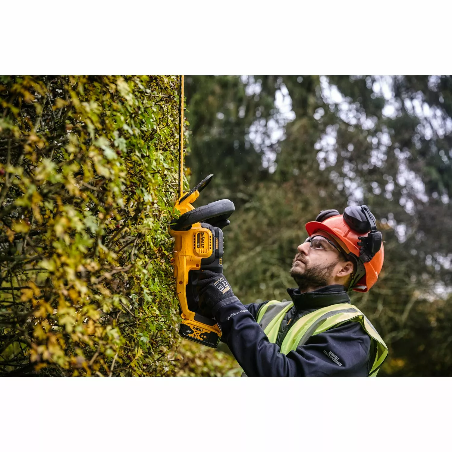 DeWALT DCMHT563P1 18V XR Li-Ion Ensemble Taille-haie à Batterie (1x Batterie 5.0Ah) - 550mm-image