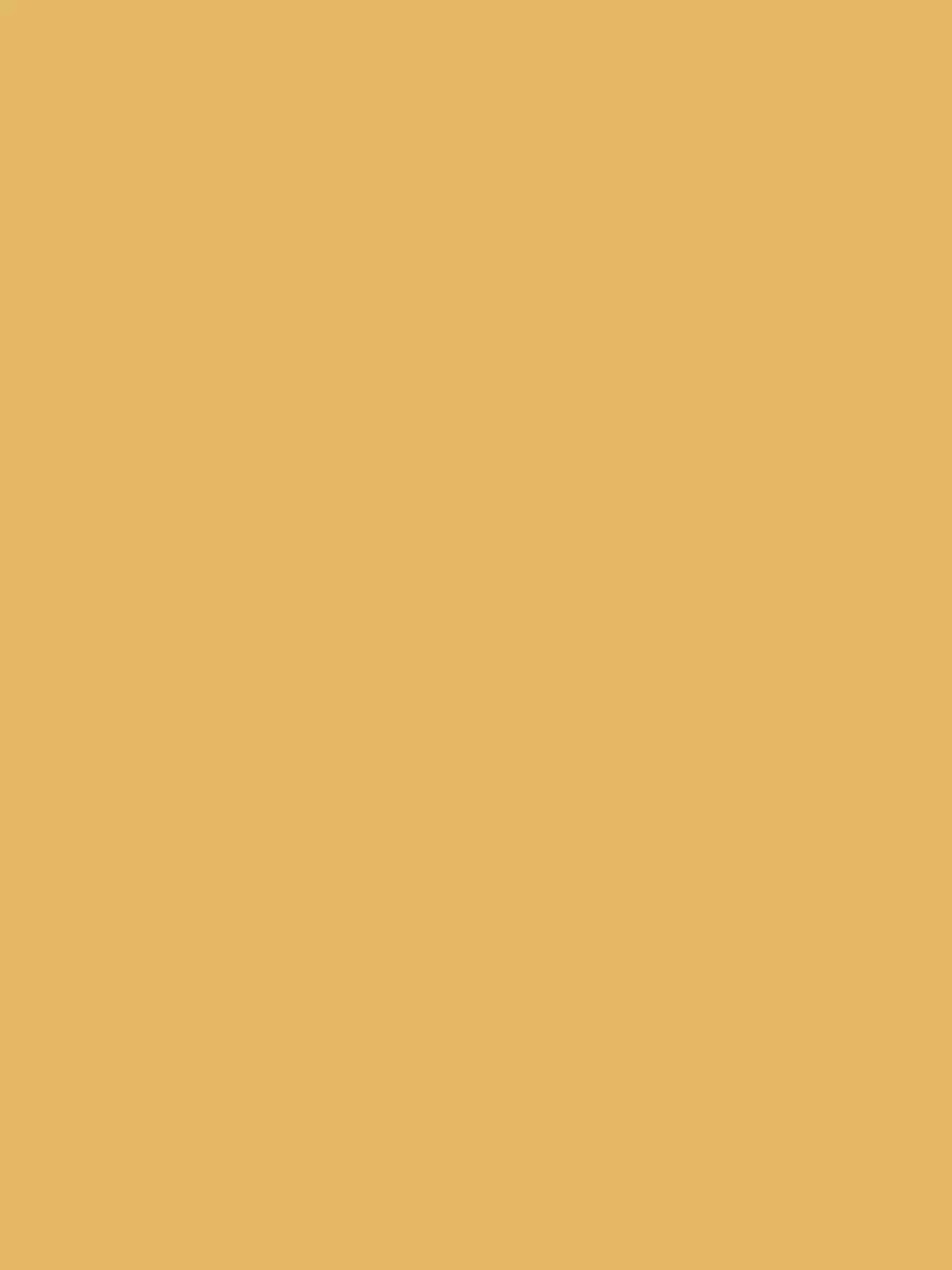 Flamant Samplepot 125ml 223 Sunshine-image