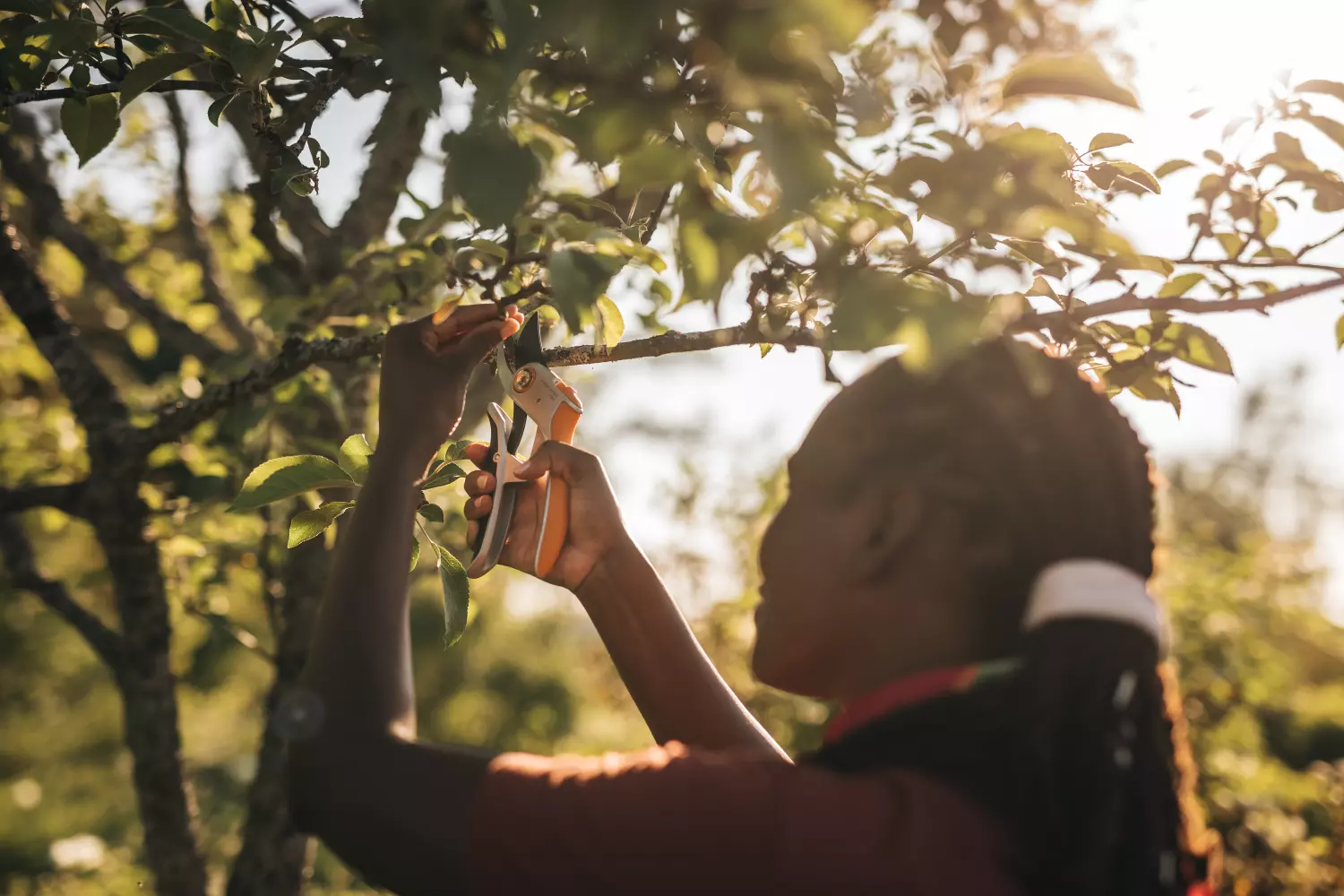 Fiskars 1057172 Plus PowerLever metalen snoeischaar bypass P751 - 24mm-image