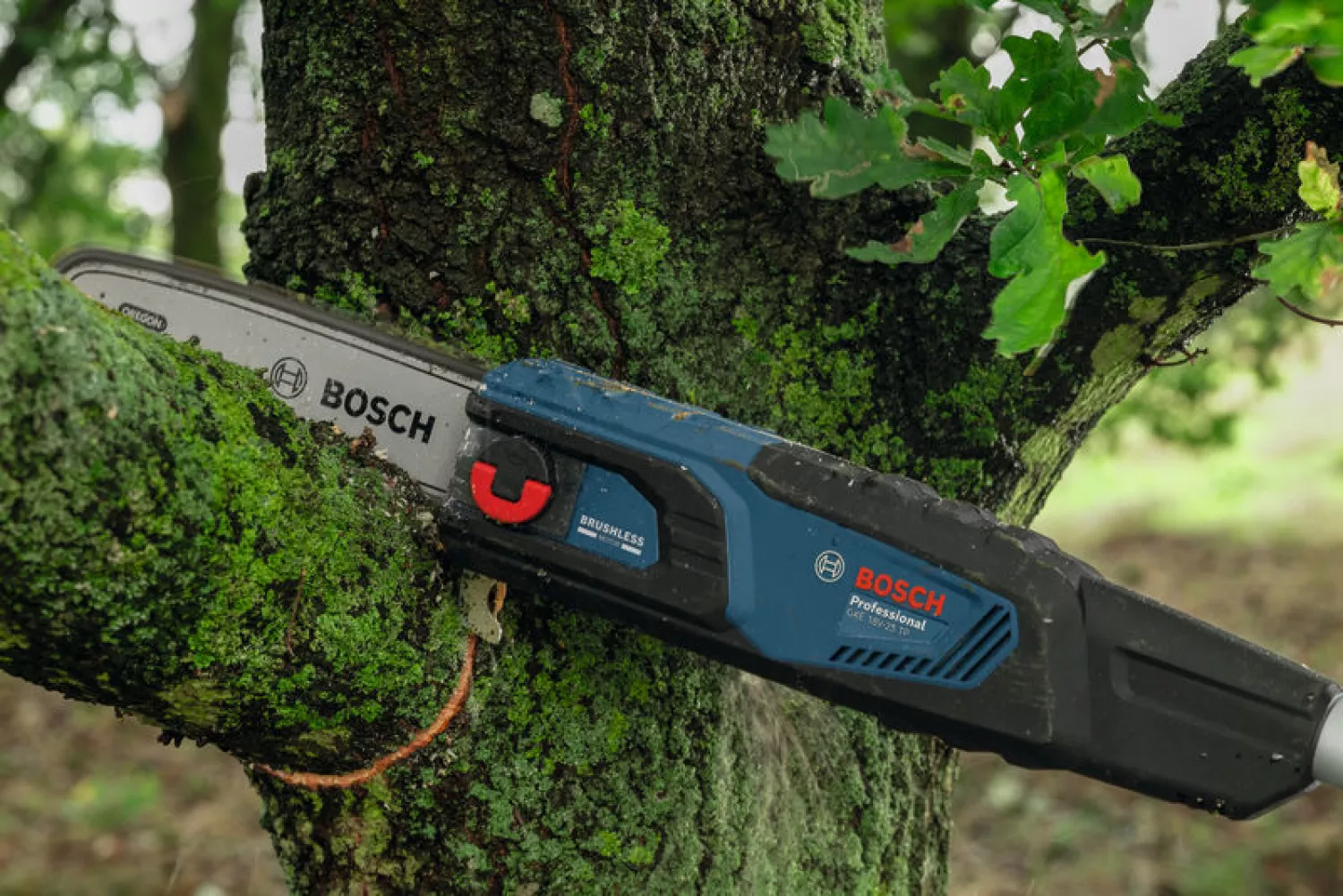 Bosch GKE 18V-25 TP corps de scie à élaguer télescopique sans fil 18 V-image