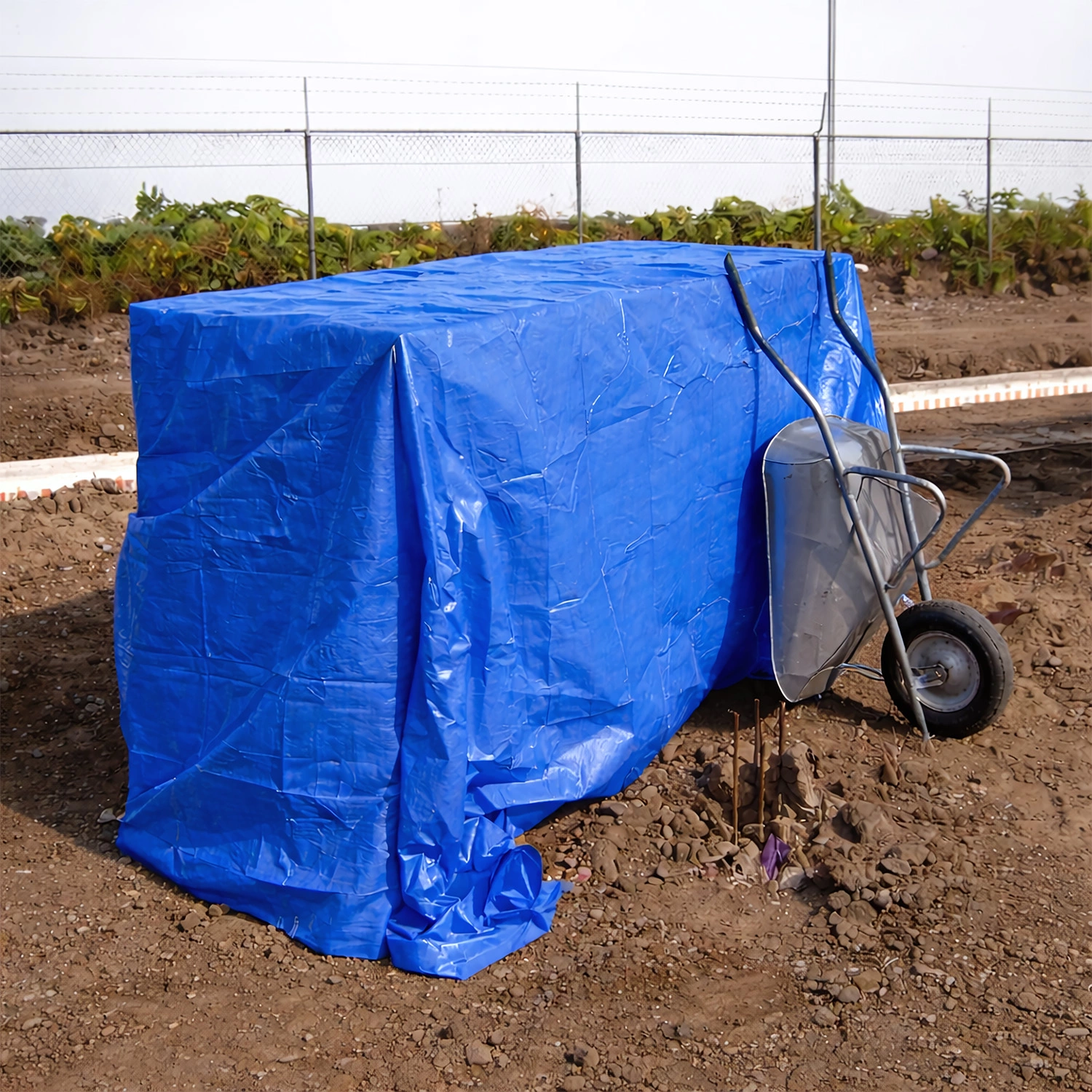 Little Jumbo 34351012 Bâche - Bleue - 10 x 12 m - 100 g/m² - avec œillets en acier-image