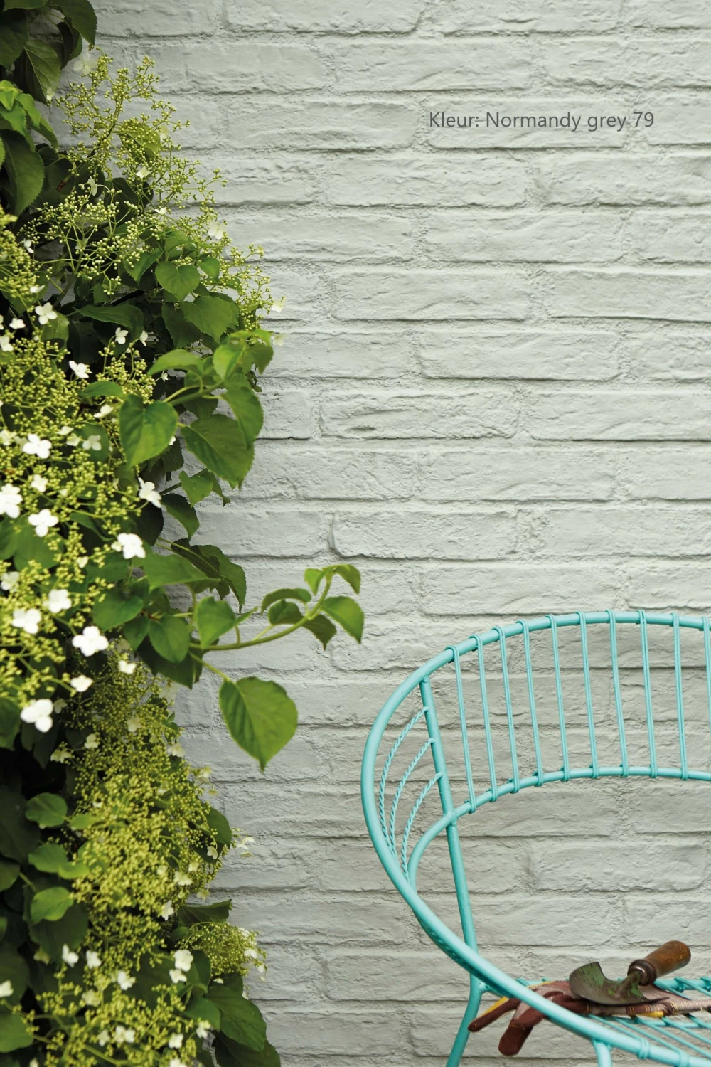 Little Greene  022810PPPPP Peinture murale-image
