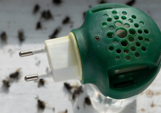 Muggen verjagen - hoe doe je dat?