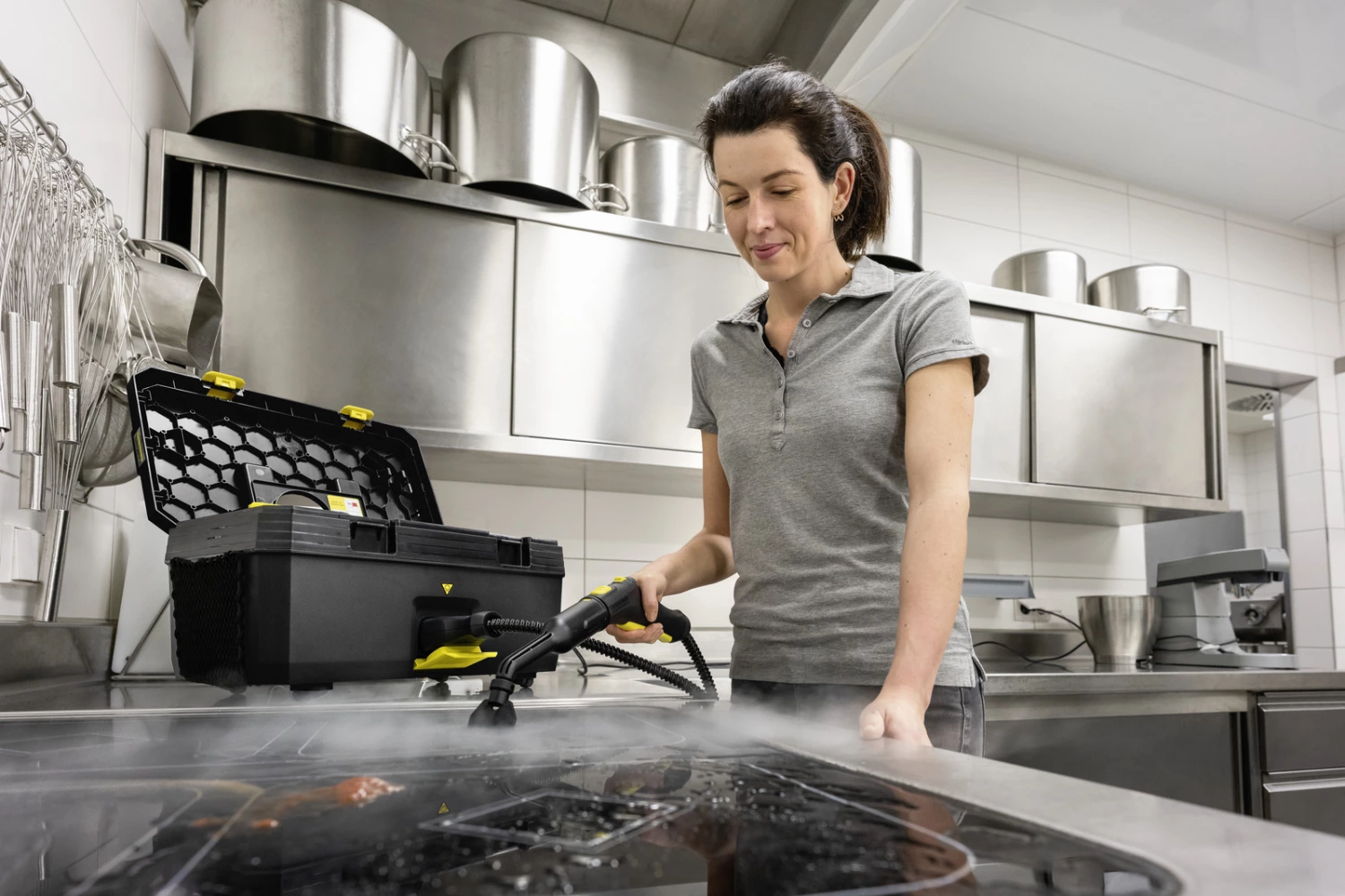 Karcher SG 4/2 Classic Anniversary Edition Stoomreiniger-image