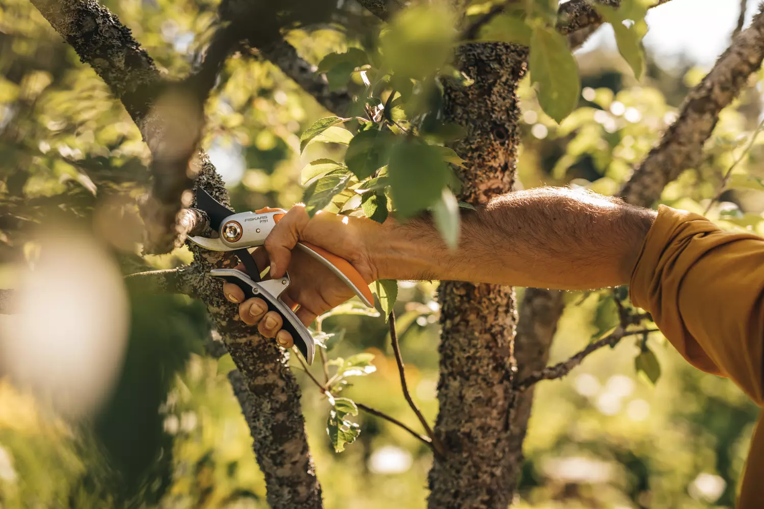 Fiskars 1057172 Plus PowerLever metalen snoeischaar bypass P751 - 24mm-image