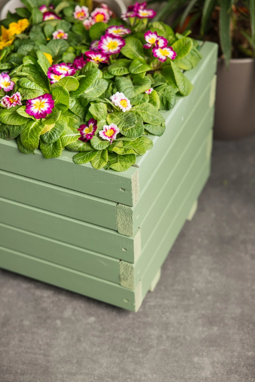 Rust-Oleum Switch Spuitlak - Mat Vintage Groen - 400ml-image