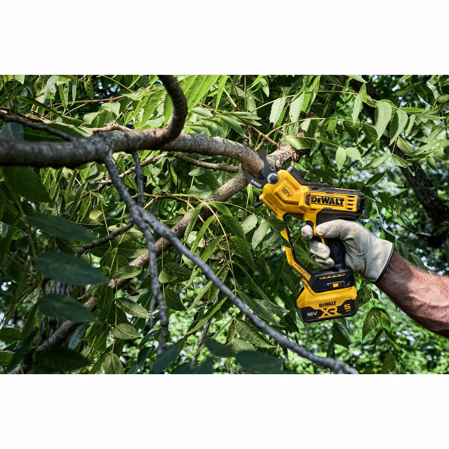 DeWALT DCMPP568P1 18V XR Li-Ion Accu Snoeischaar set (1x 5.0Ah Accu) - 38mm-image