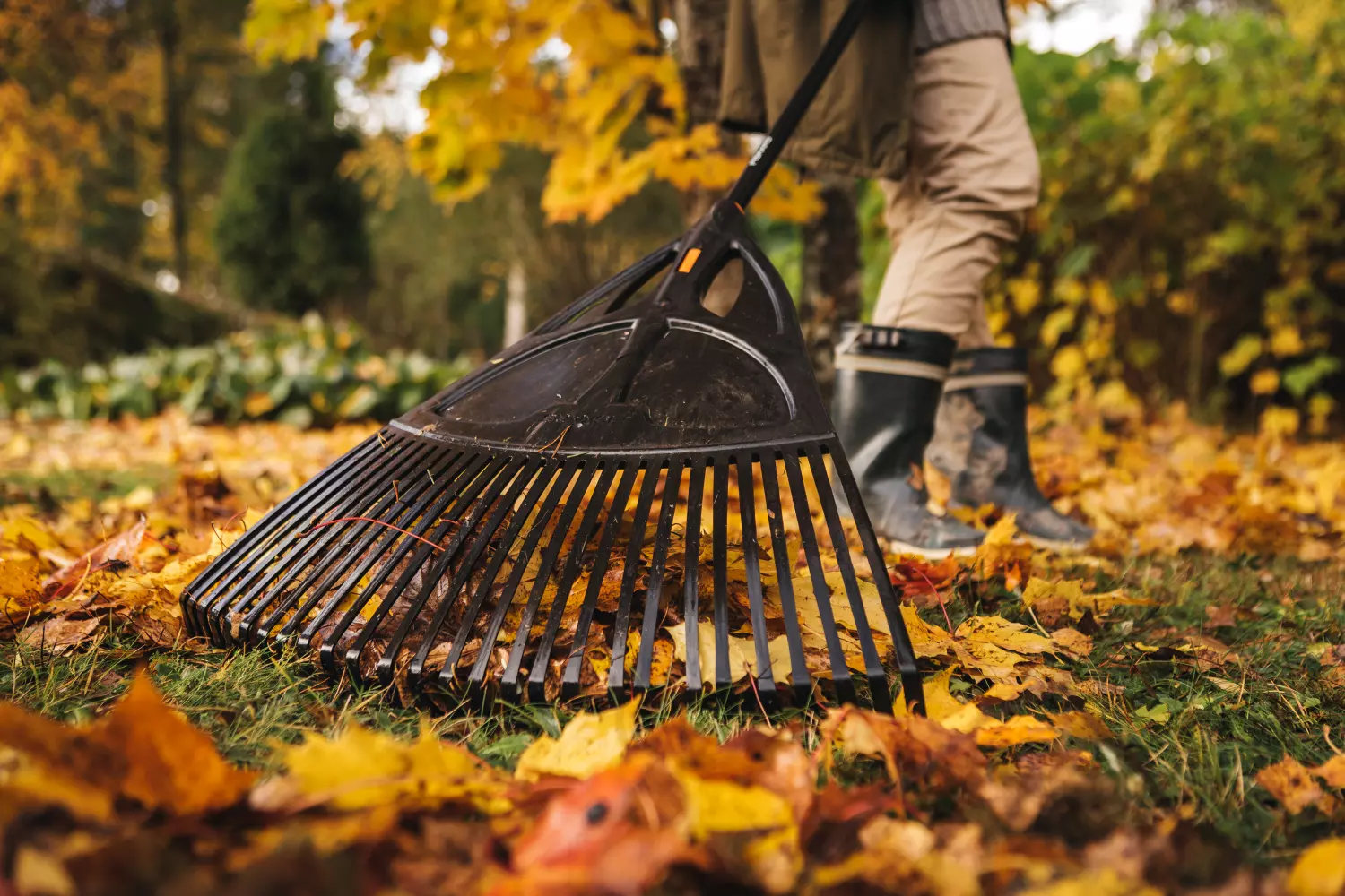 Fiskars 135090 / 1015645 - Râteau - 27 dents - 65 cm-image