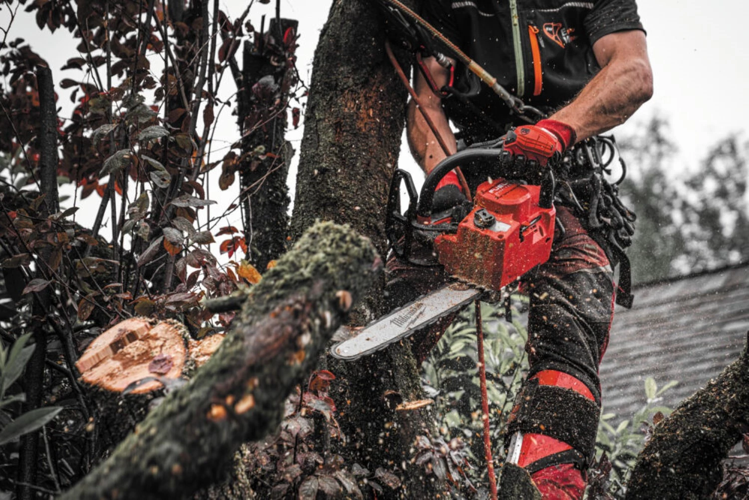 Milwaukee M18 FPP2OPL13-802 Kit tronçonneuse et souffleur de feuilles 18 V Li-ion (2 batteries 8,0 Ah)-image