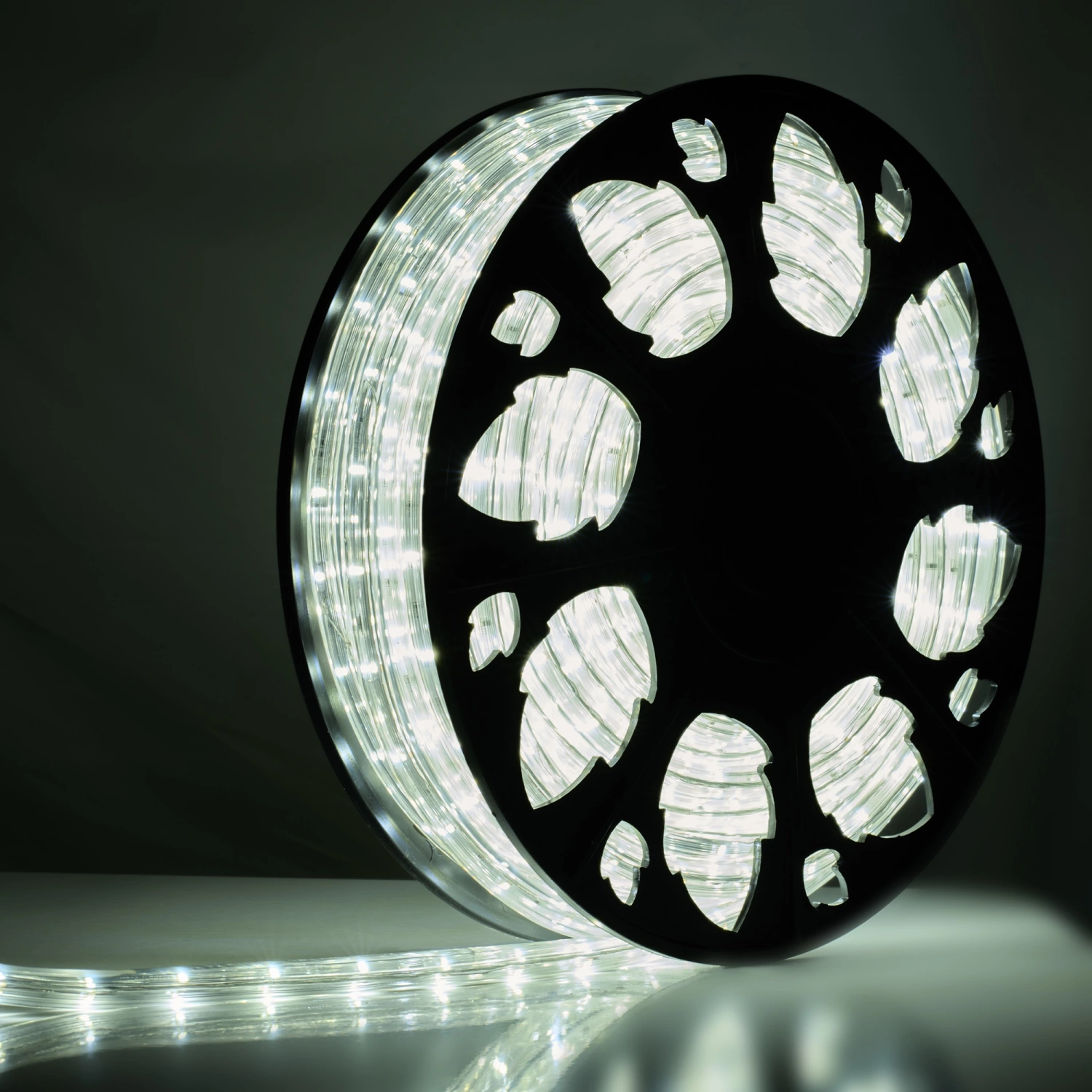 Bailey RoBust LED Rope 360° - 25M - 5W/m - 420Lm/m - 6500K - IP65-image