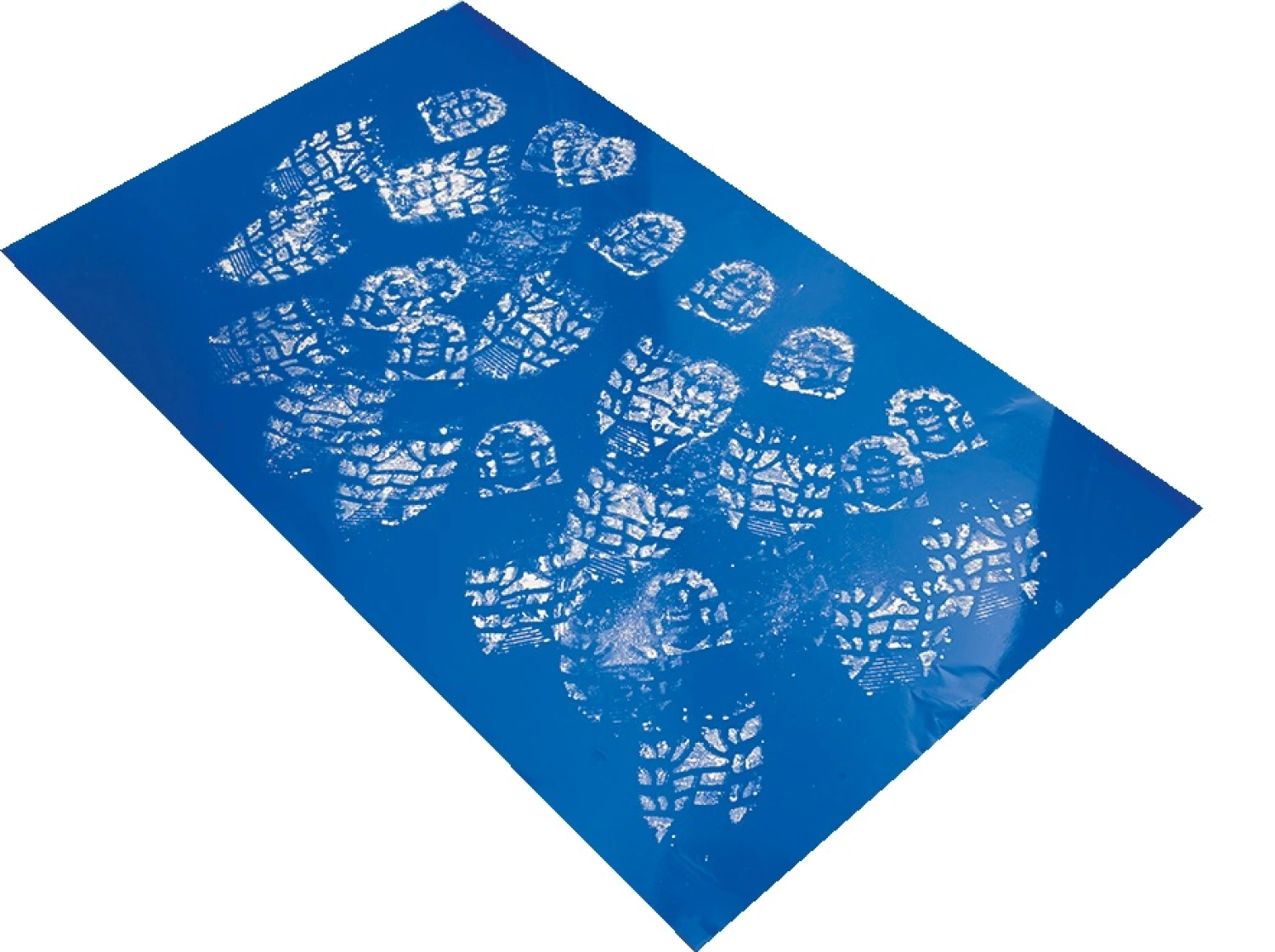 Carat DPM0100000 Schoonloopmat - 60 x 90cm-image