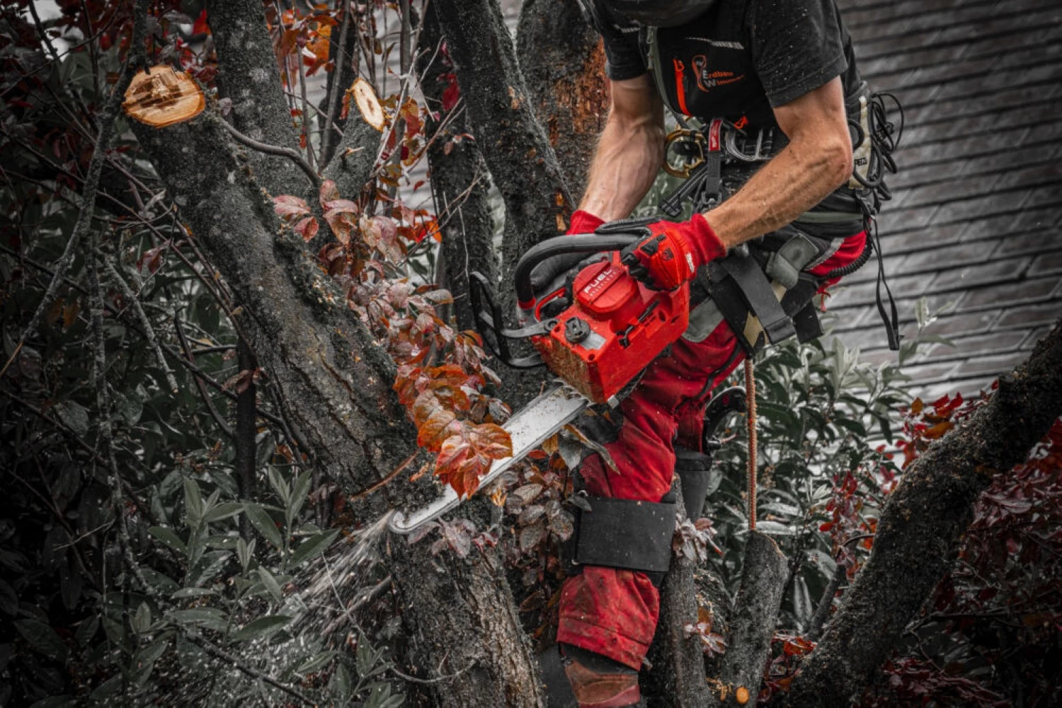 Milwaukee M18 FPP2OPL13-802 Kit tronçonneuse et souffleur de feuilles 18 V Li-ion (2 batteries 8,0 Ah)-image