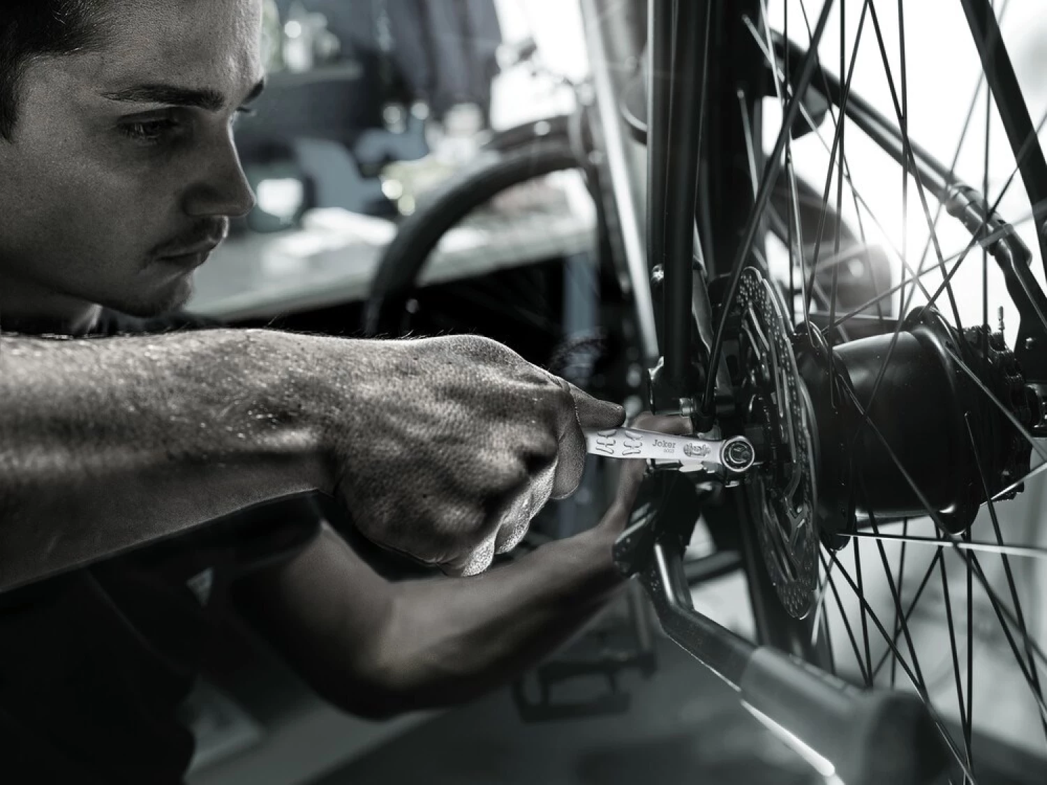 Wera 05004181001 Jeu de 12 clés à anneau pour vélo dans un étui - 6-17 mm-image