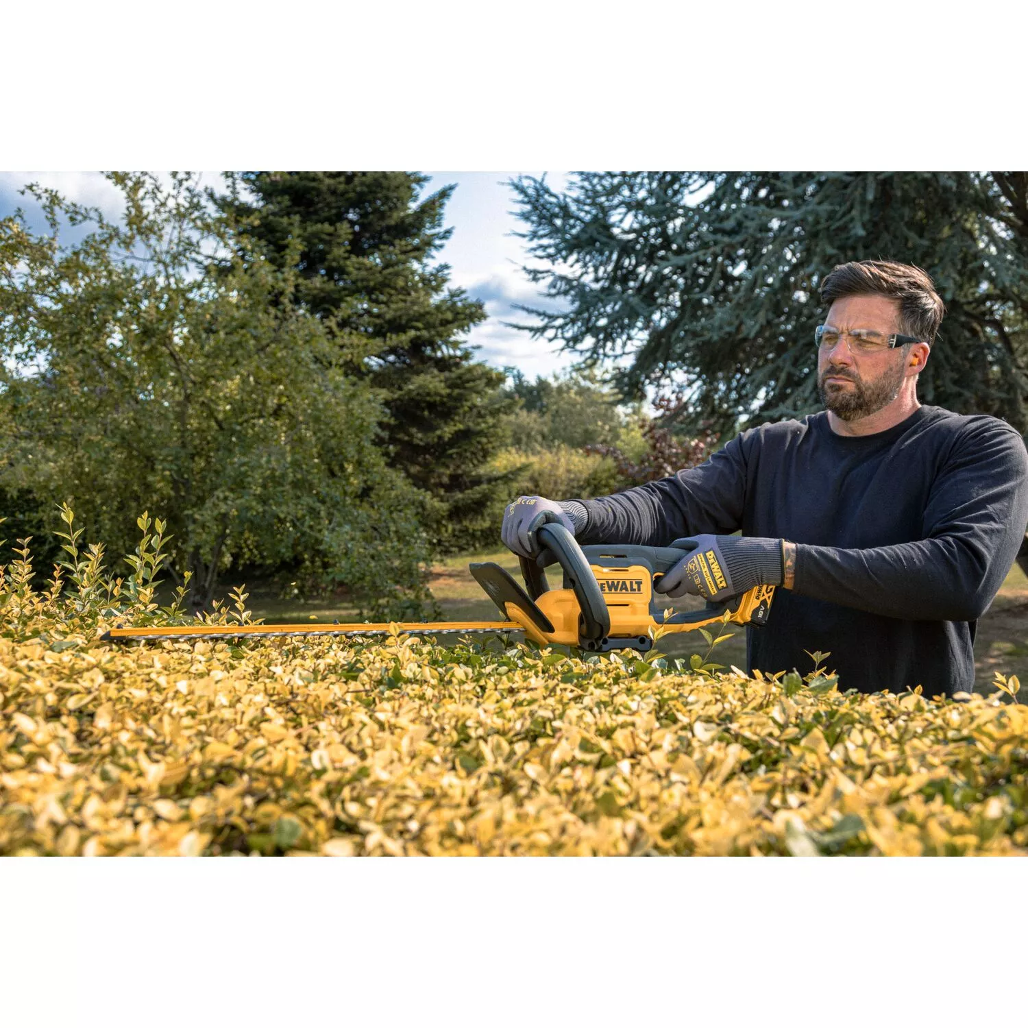 DeWALT DCMHT562N-XJ Corps de taille-haie à batterie Li-ion 18V XR - 550 mm-image