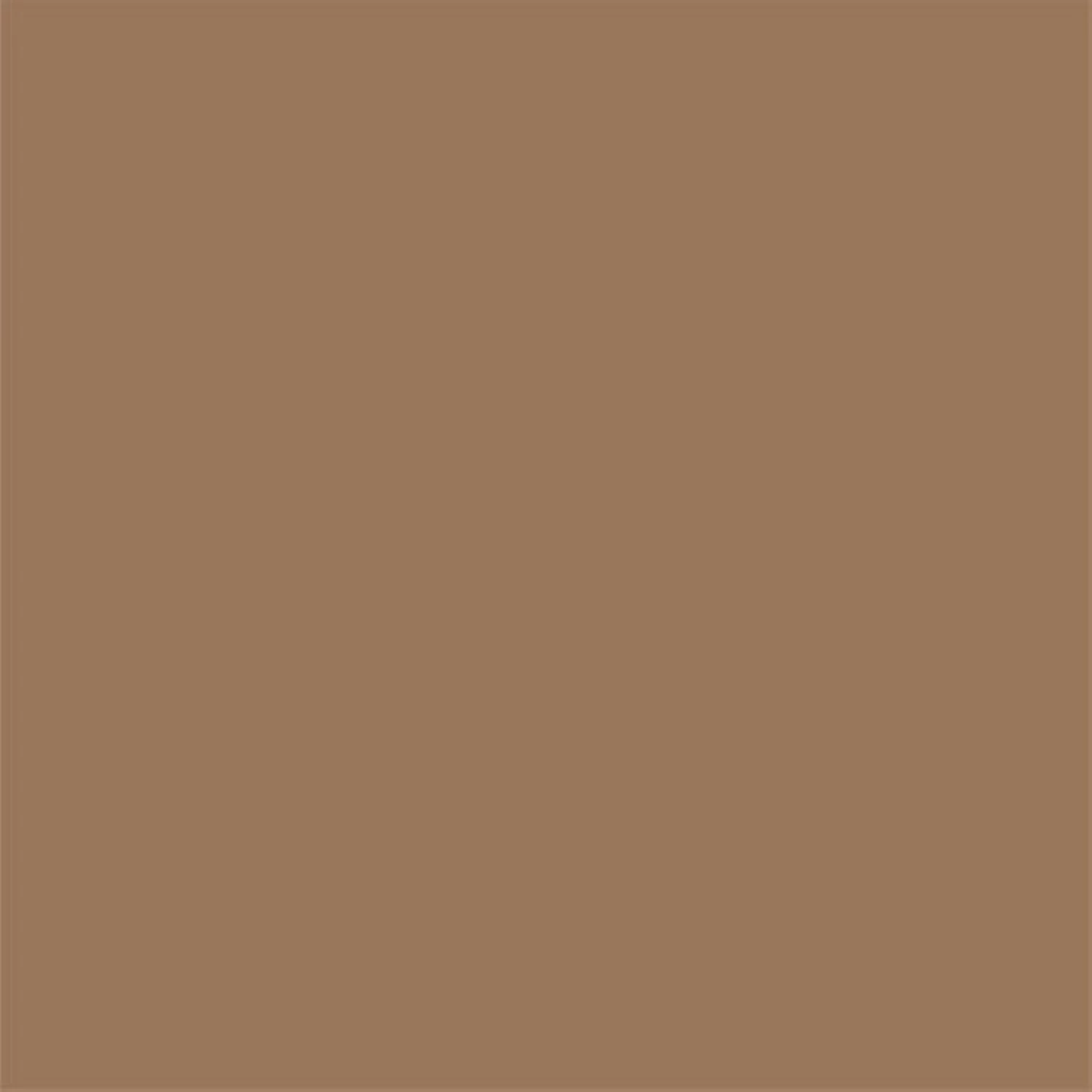 Sikkens 5797672 Rijks Tester Puur Terra - 30ml-image