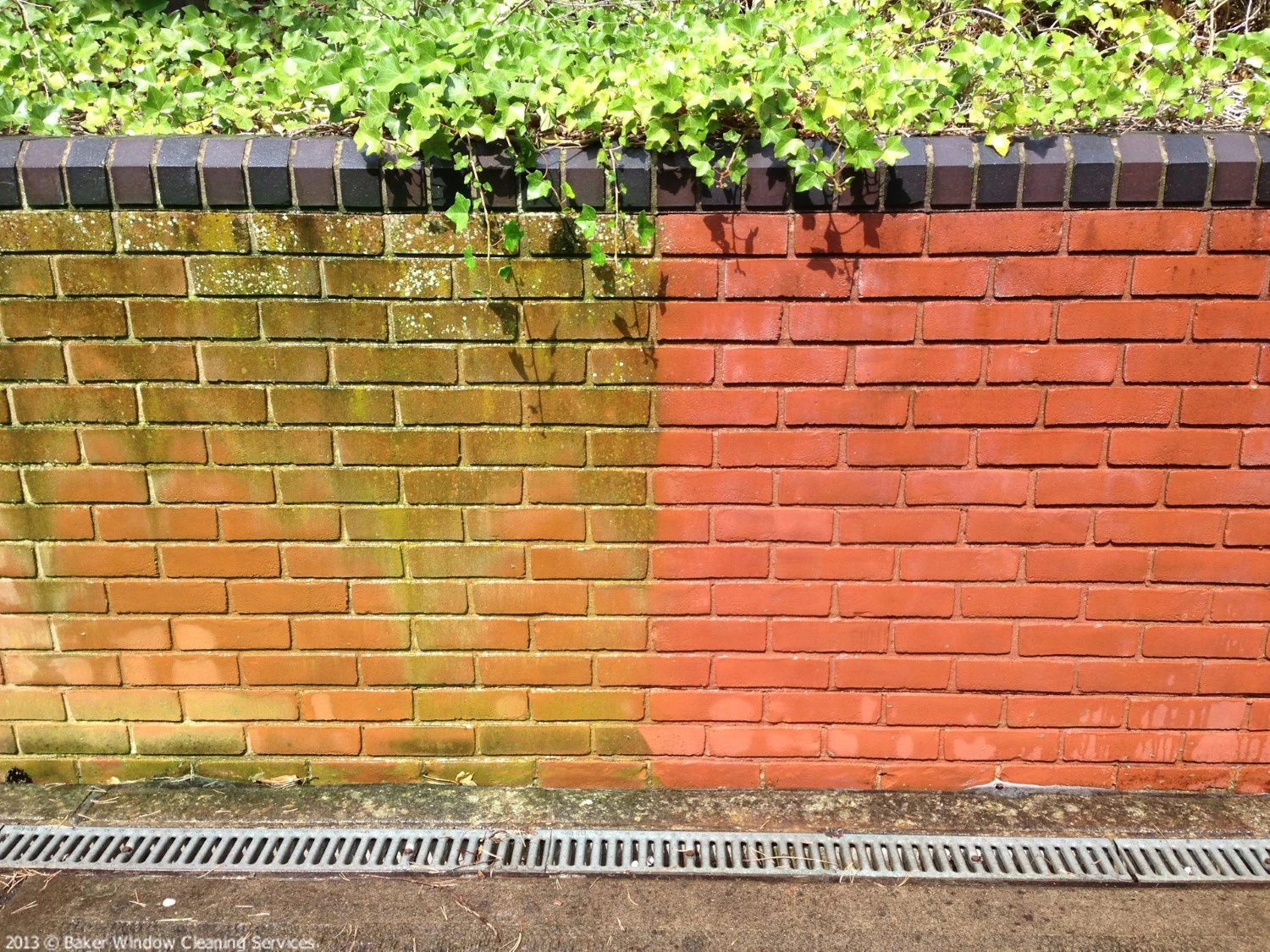 TEC7 HP Clean Reiniger - 1L (10st)-image