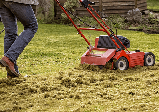 Gras verticuteren: wat, wanneer, hoe?-image