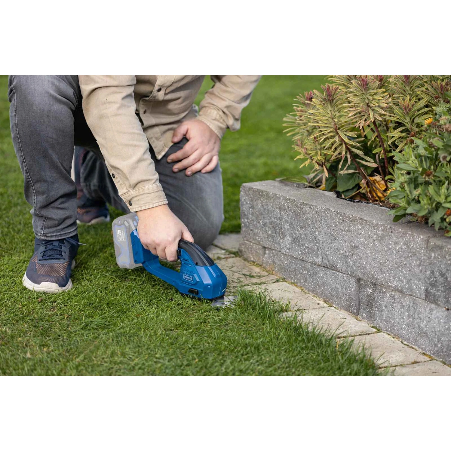 Scheppach Accu Gras- & Heggenschaar 20V C-HTGS200-X-image