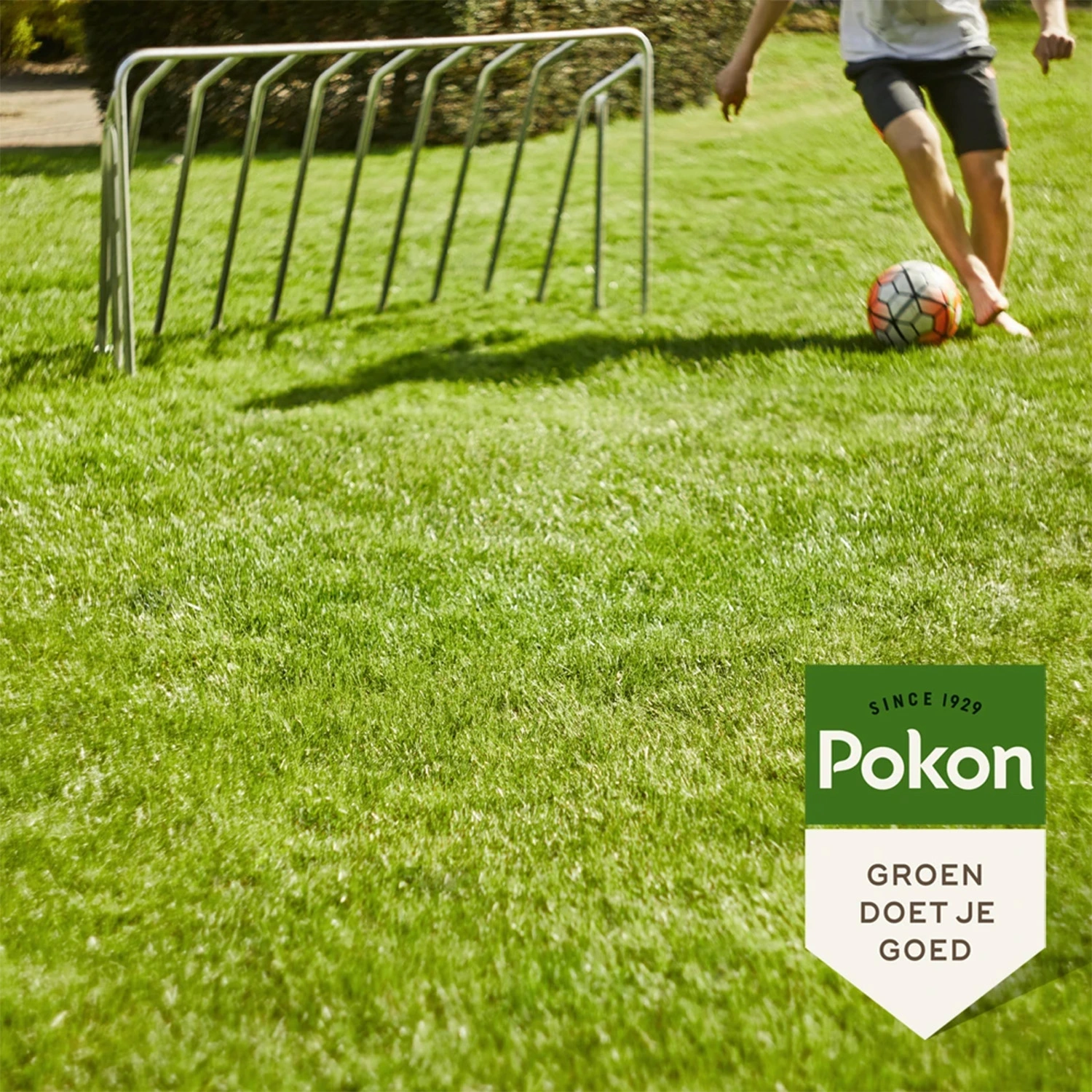 Pokon RPR Graszaad Inzaai - 1kg-image