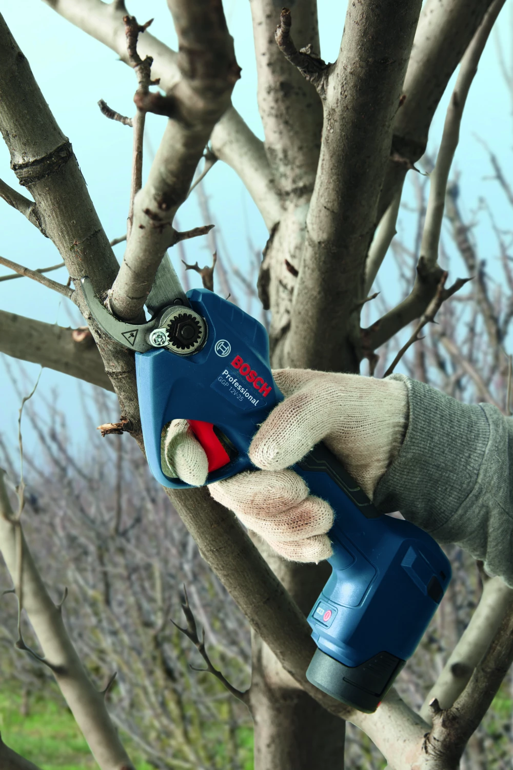 Bosch GGP 12V-25 12V accu snoeischaar body-image