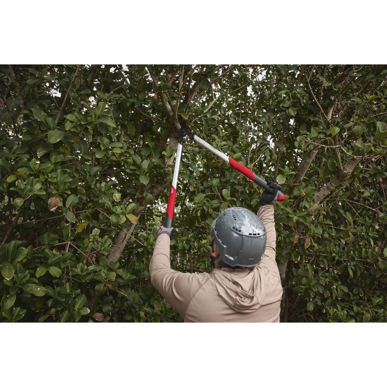 Milwaukee 4932498625 Ébrancheur à lame franche 50 mm-image