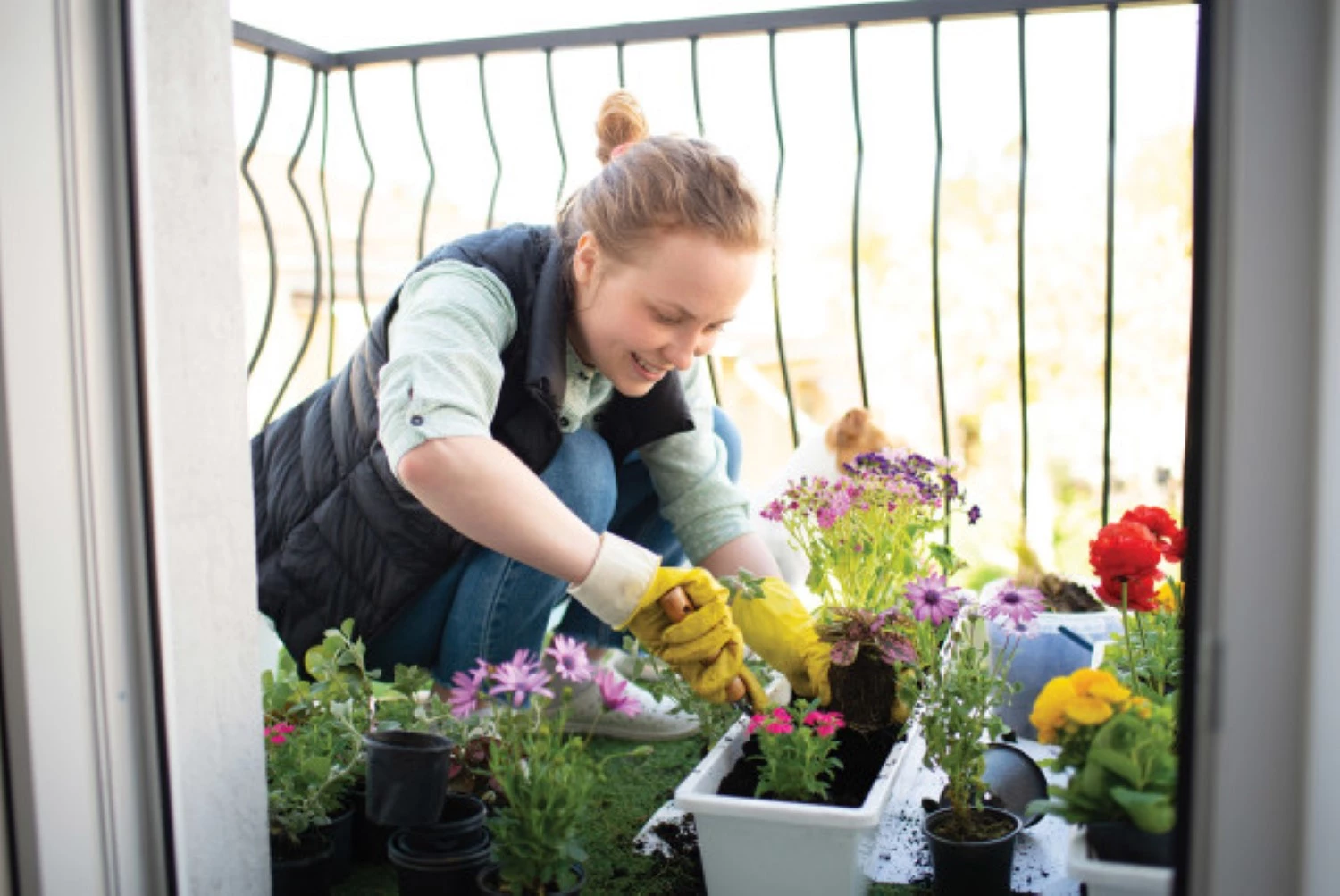 Rain Bird A51257 Balkon druppelbewateringsset-image