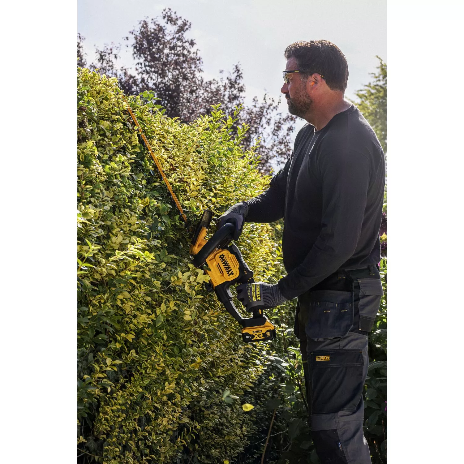 DeWALT DCMHT567P1-QW Kit taille-haie sans fil Li-ion 18 V (1 batterie 5,0 Ah) - 60 cm-image