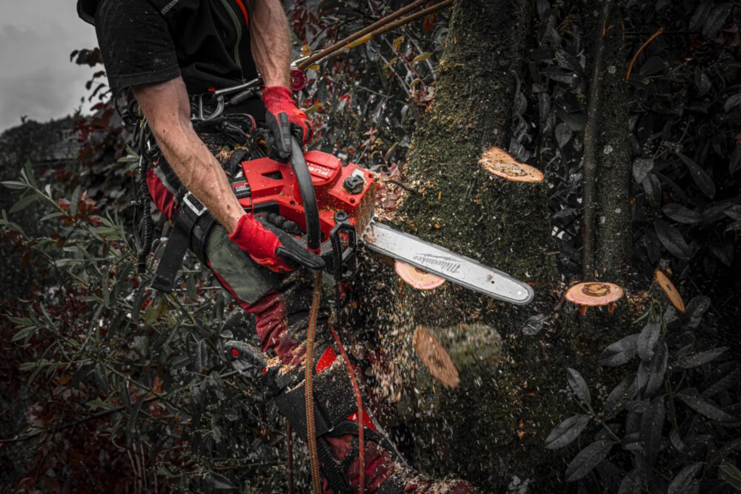 Milwaukee M18 FPP2OPL13-802 Kit tronçonneuse et souffleur de feuilles 18 V Li-ion (2 batteries 8,0 Ah)-image