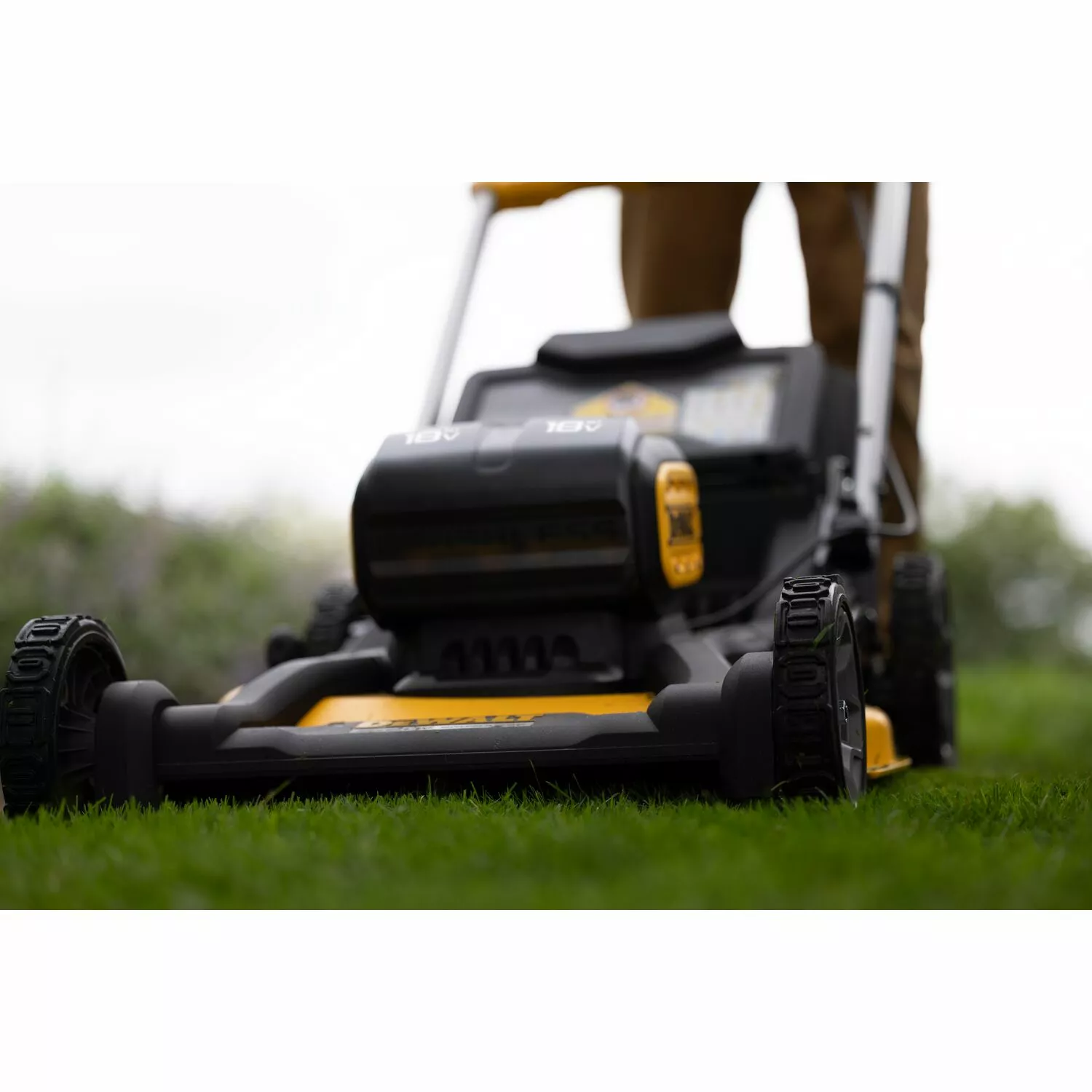 DeWALT DCMWSP156W2 18V XR Li-Ion Tondeuse à Gazon sans Fil (2x Batterie 8.0Ah) - Sans Balais - 53cm-image