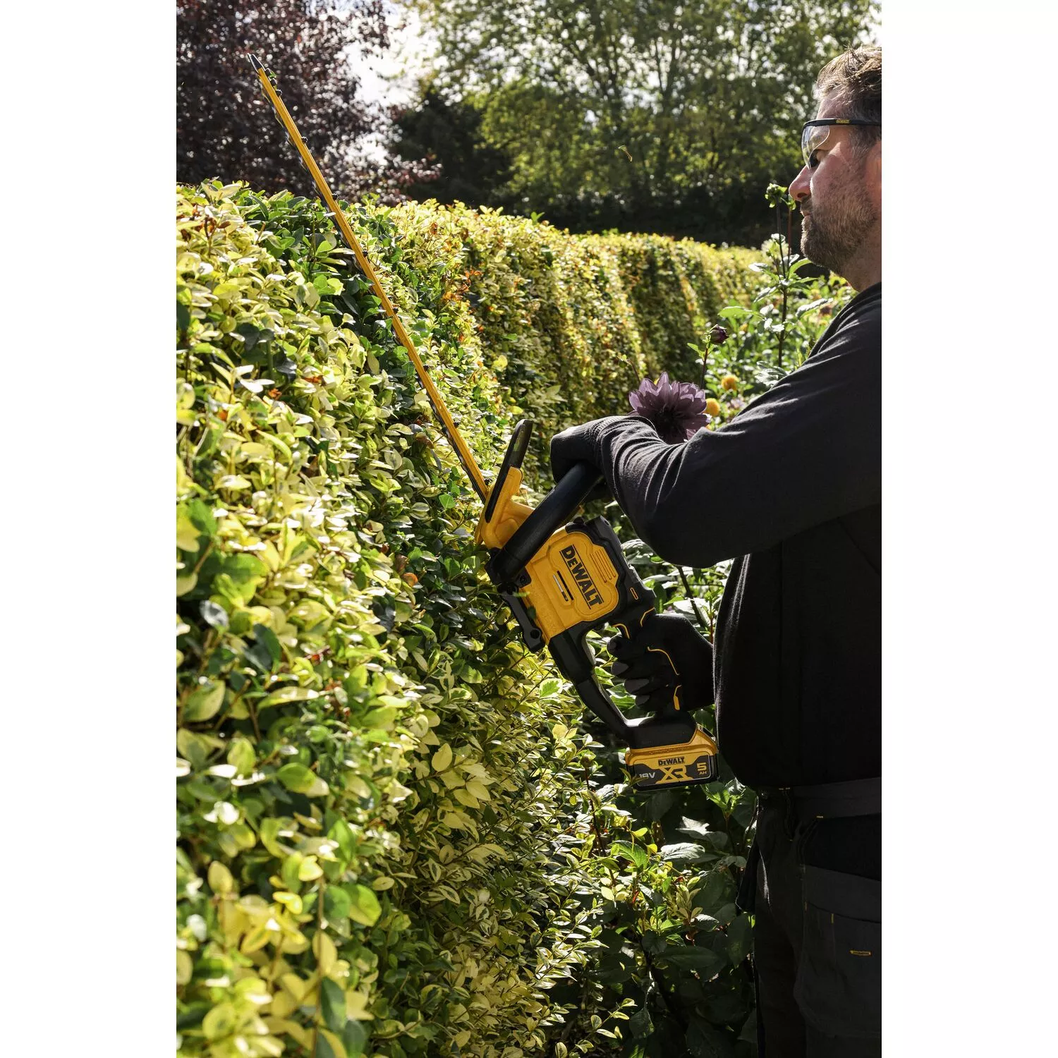DeWALT DCMHT567N-XJ Corps de taille-haie sans fil Li-ion 18 V - 60 cm-image