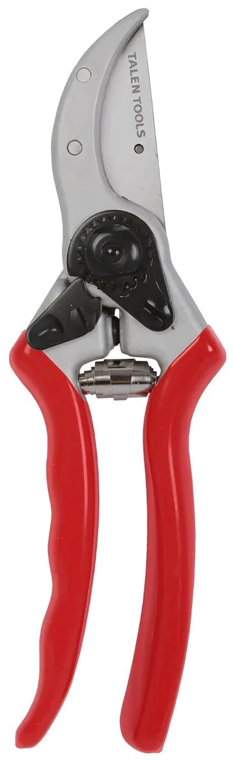 Talen Tools F191 Snoeischaar - Professioneel - Titanium - Voorbijsnijdend