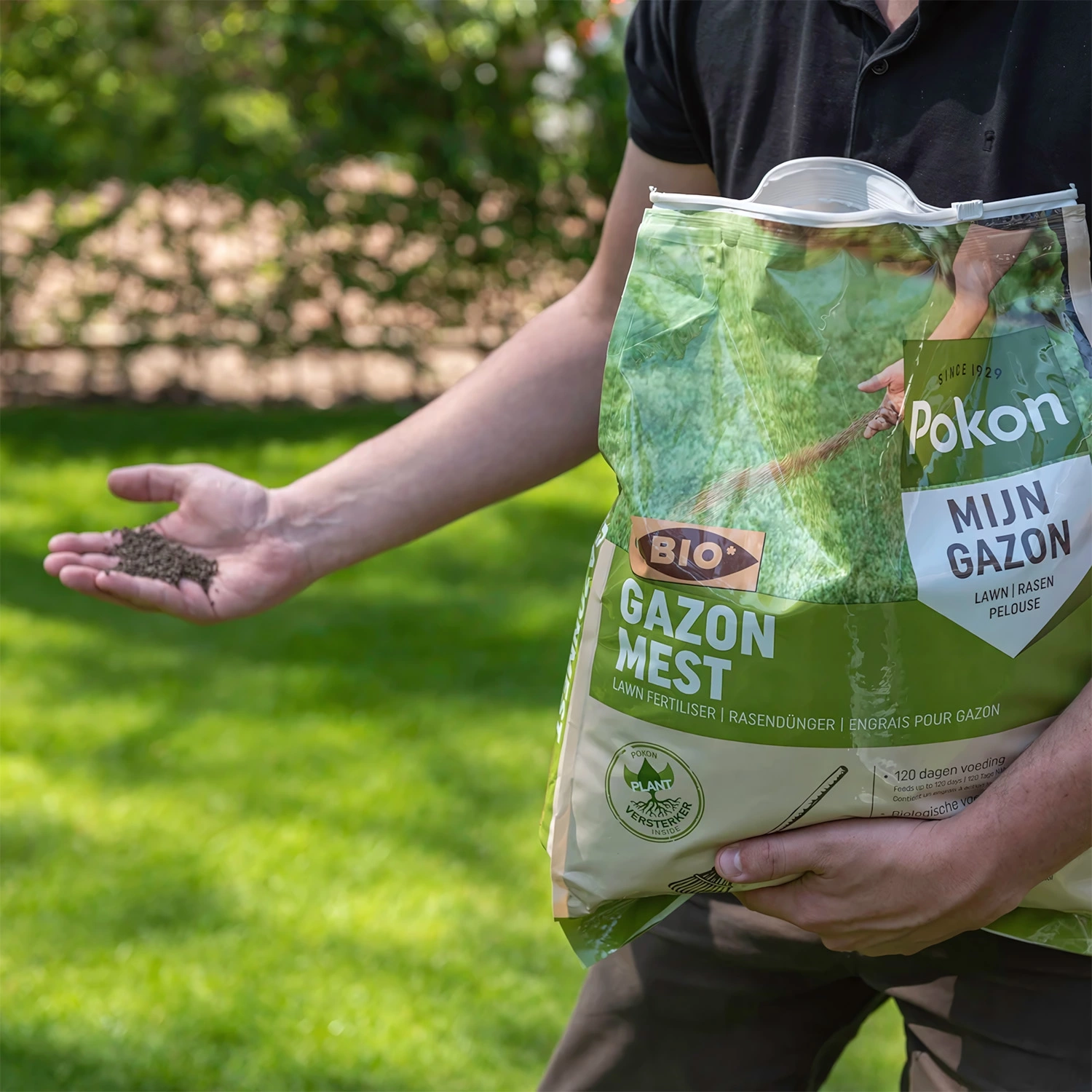 Pokon Engrais bio pour gazon pour 15 m²-image
