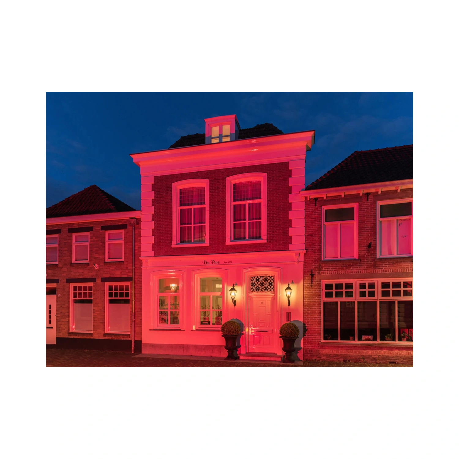 Bailey LED Schijnwerper - Rood - 50W - IP65