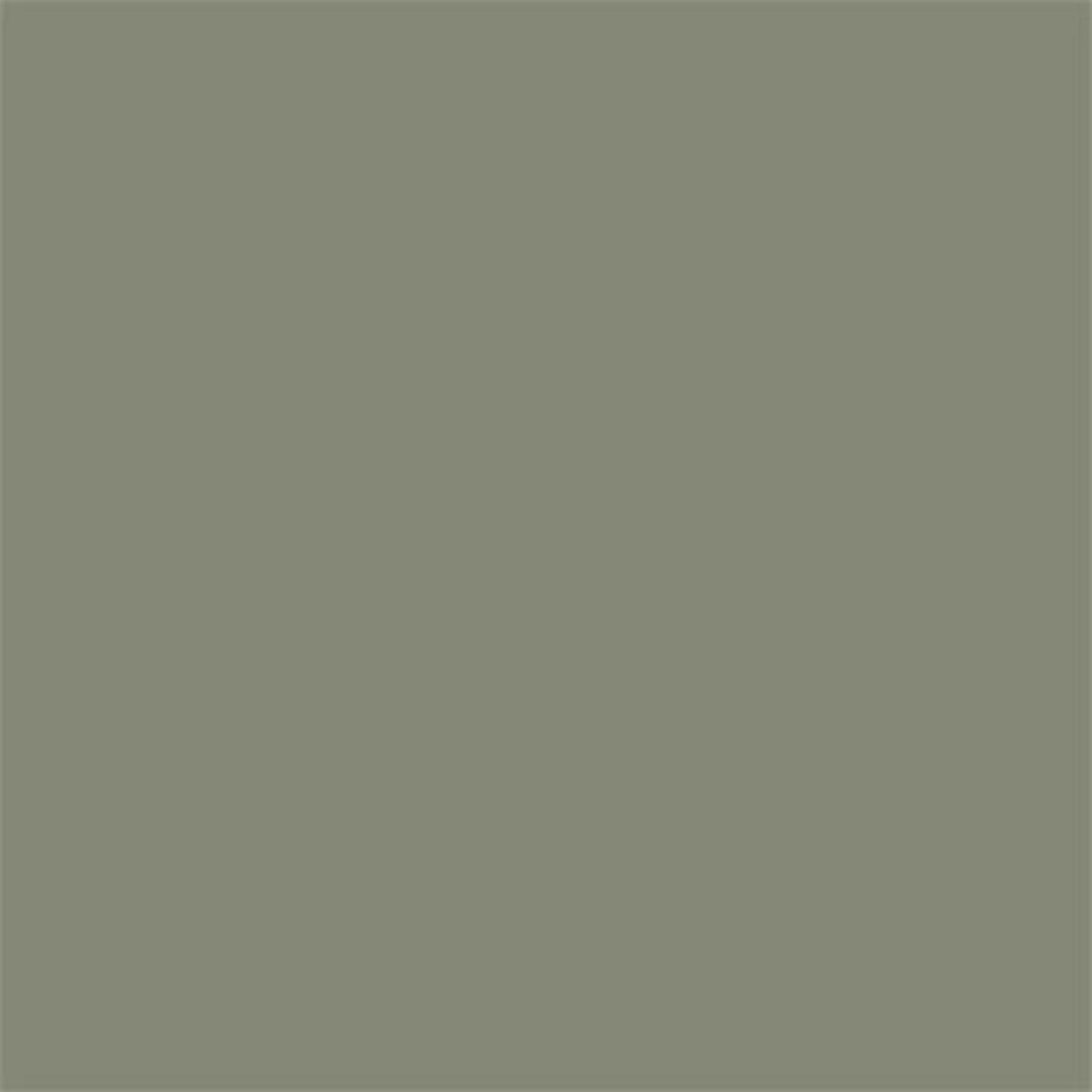 Sikkens 5797639 Rijks Tester Groen - 30ml-image