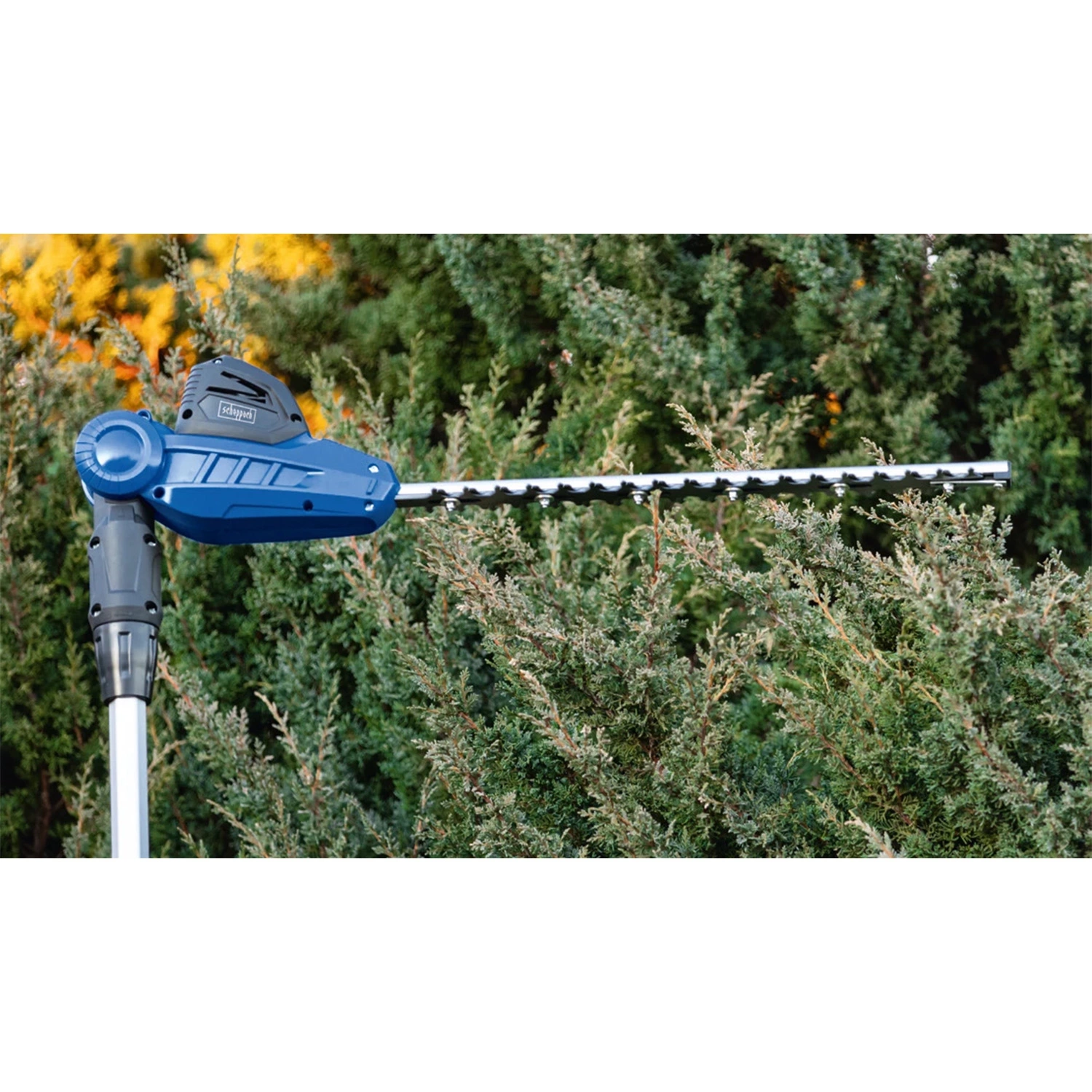 Scheppach Taille-haie Accu Télescopique 20V C-PHS410-X-image