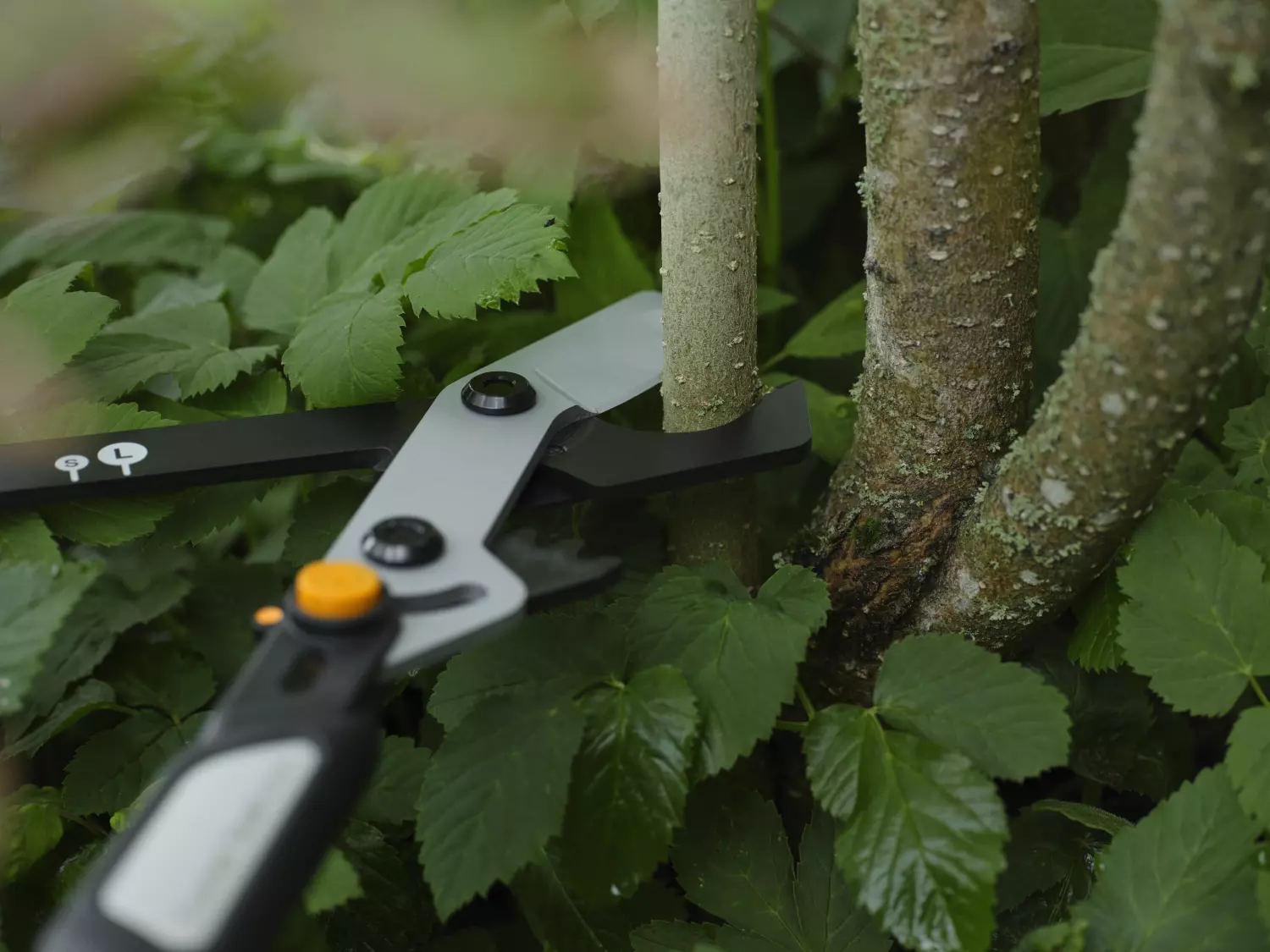 Fiskars LX108 X-Series DualAction bypass-takkenschaar-image
