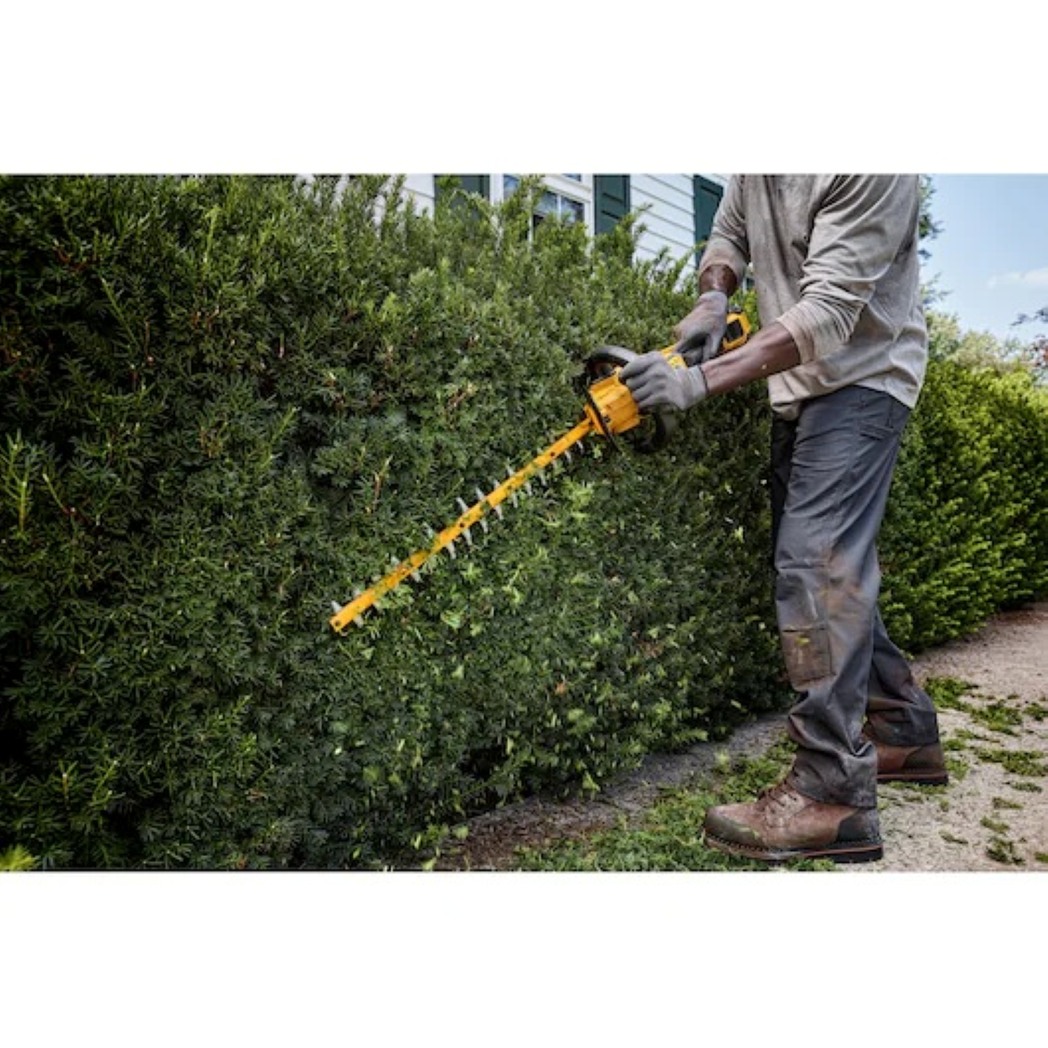DeWALT DCMHT573X1-QW Taille-haie sans fil-image