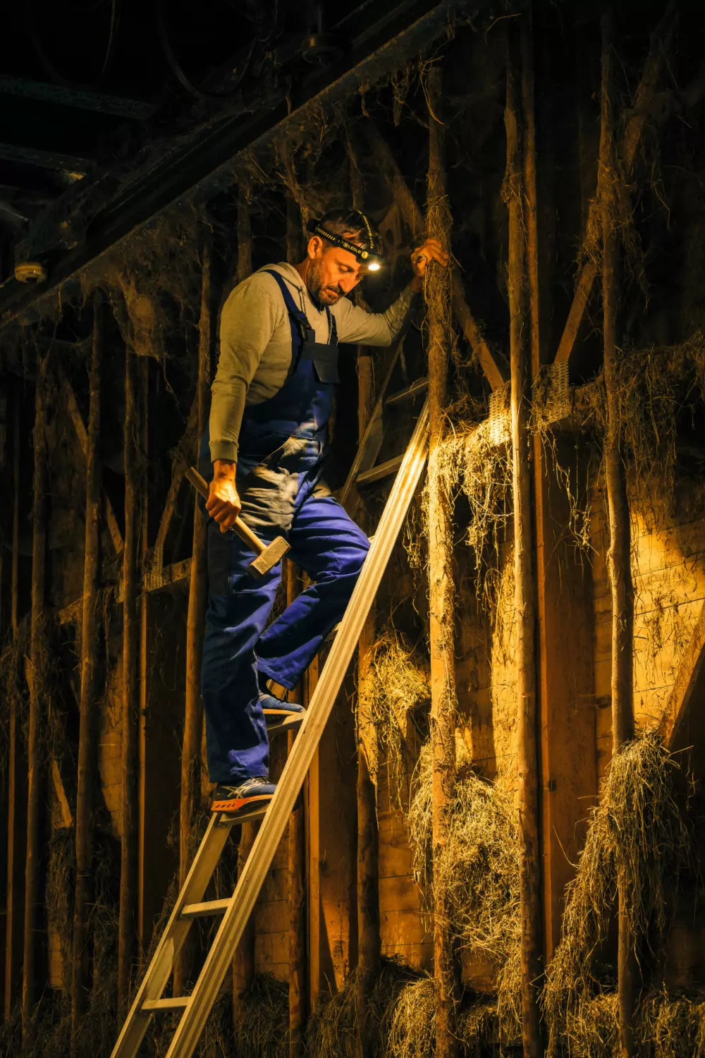 Ledlenser H7R Work LED Hoofdlamp - oplaadbaar - 1000Lm - IP67-image