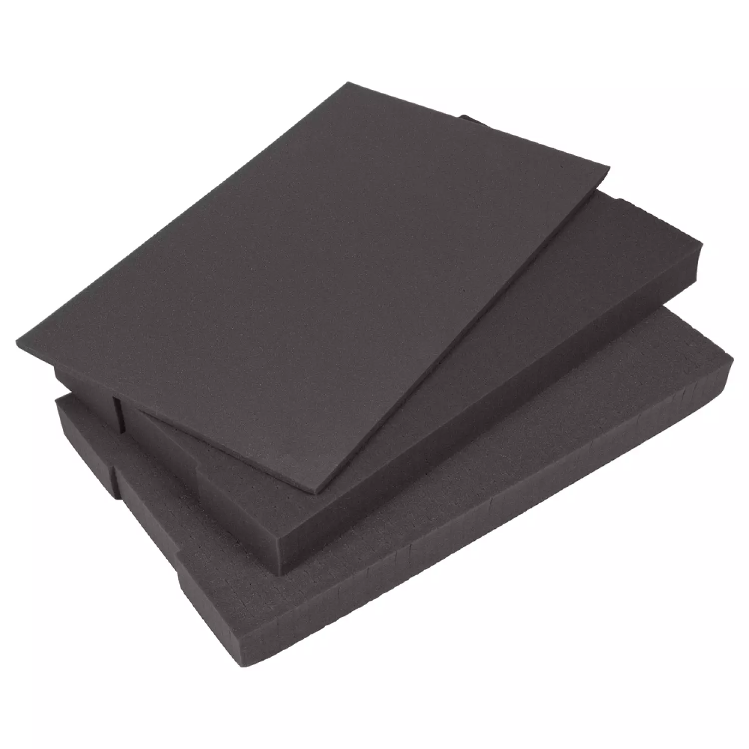 Bosch 1600A0259Y - Accessoires Systèmes XL-Boxx Foam insert-image