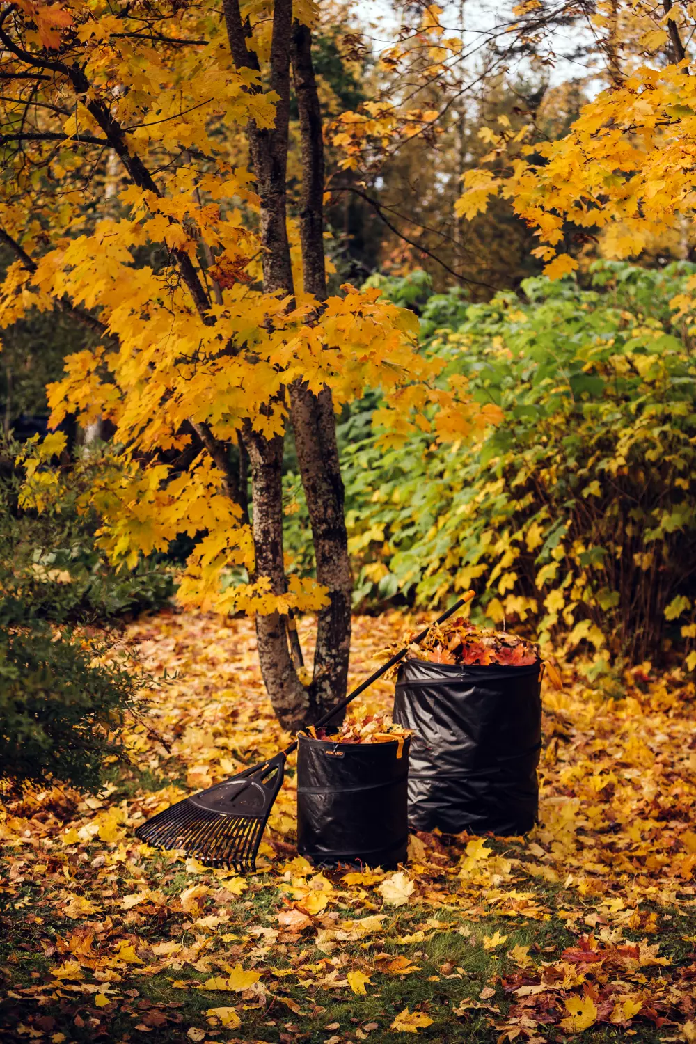 Fiskars - Sac à végétaux - 172 litres - Solid-image