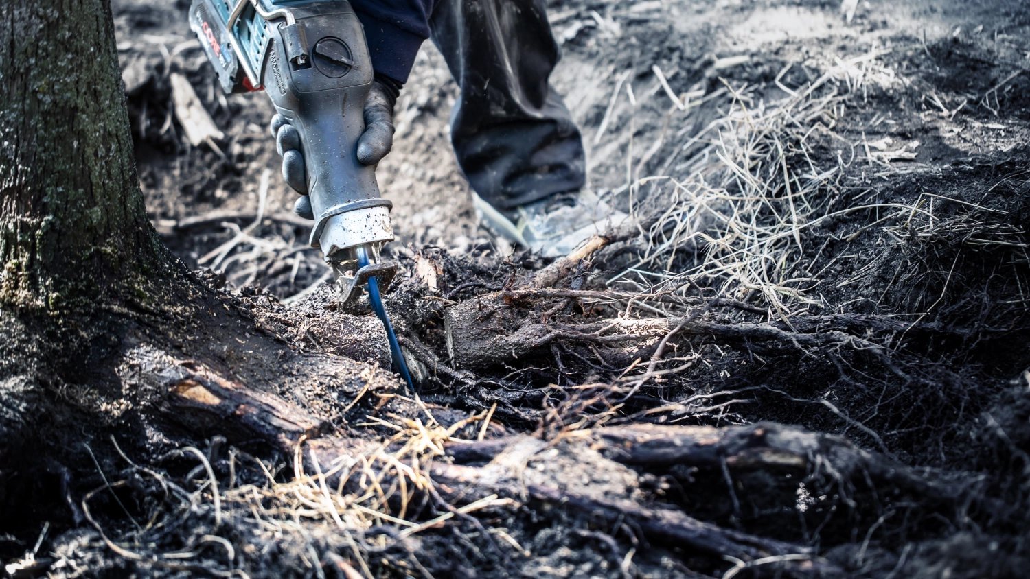 Bosch 2608900406 EXPERT Reciprozaagblad S1242KHM Tough Wood-image