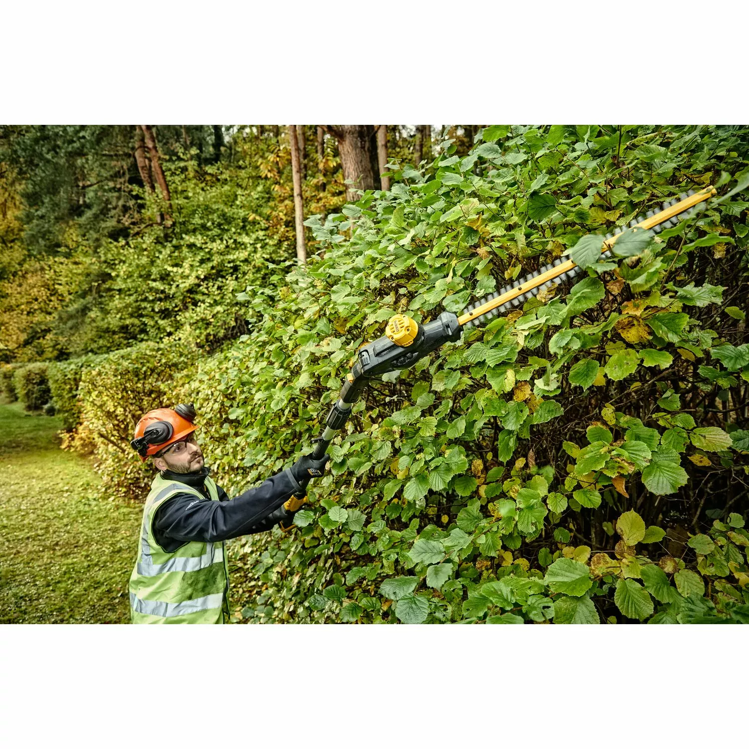 DeWALT DCMPH566P1 18V XR Li-Ion Taille-haie sur perche set (1x 5.0Ah Batterie) - Sans balais - 550mm-image