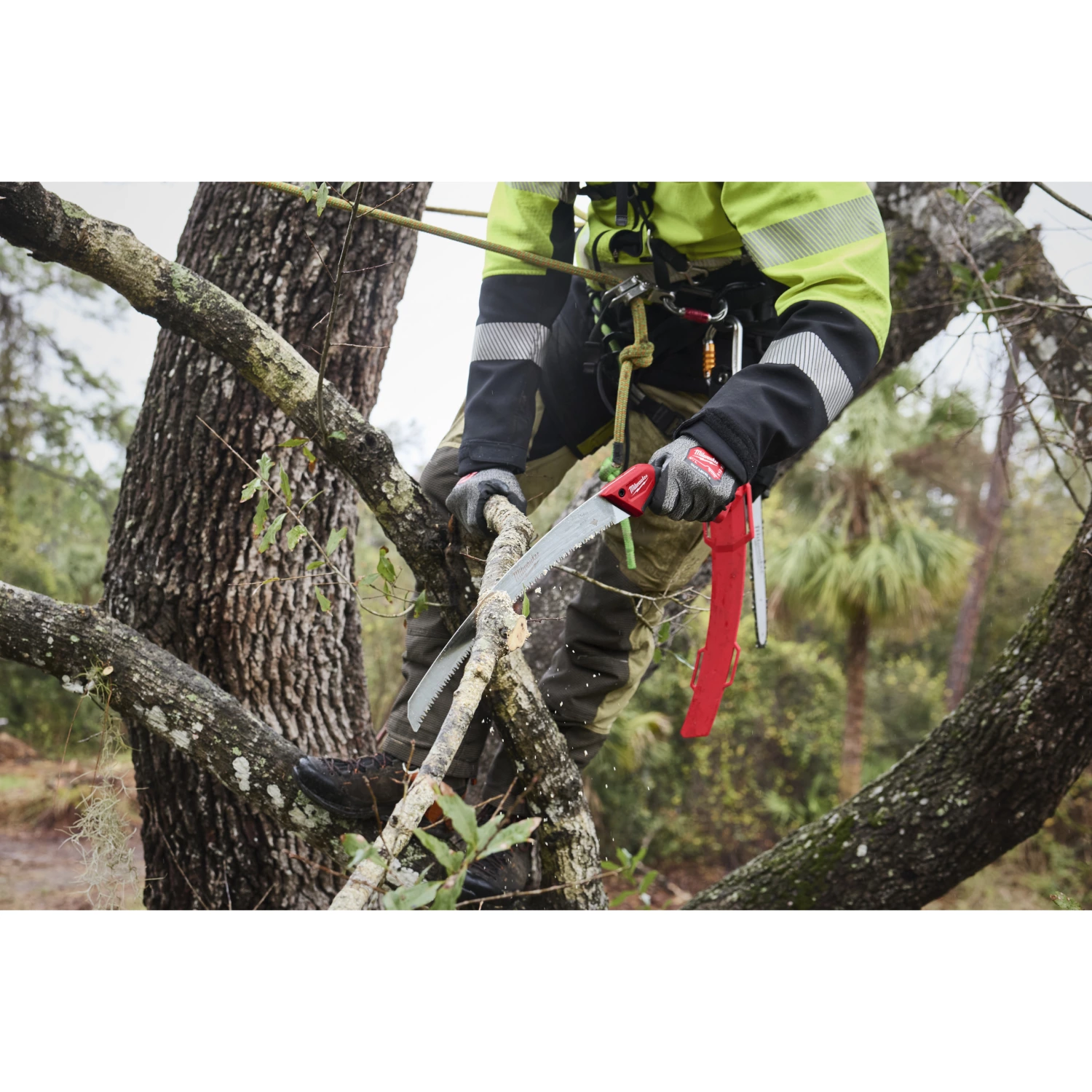 Milwaukee 4932498623 Scie courbe-image