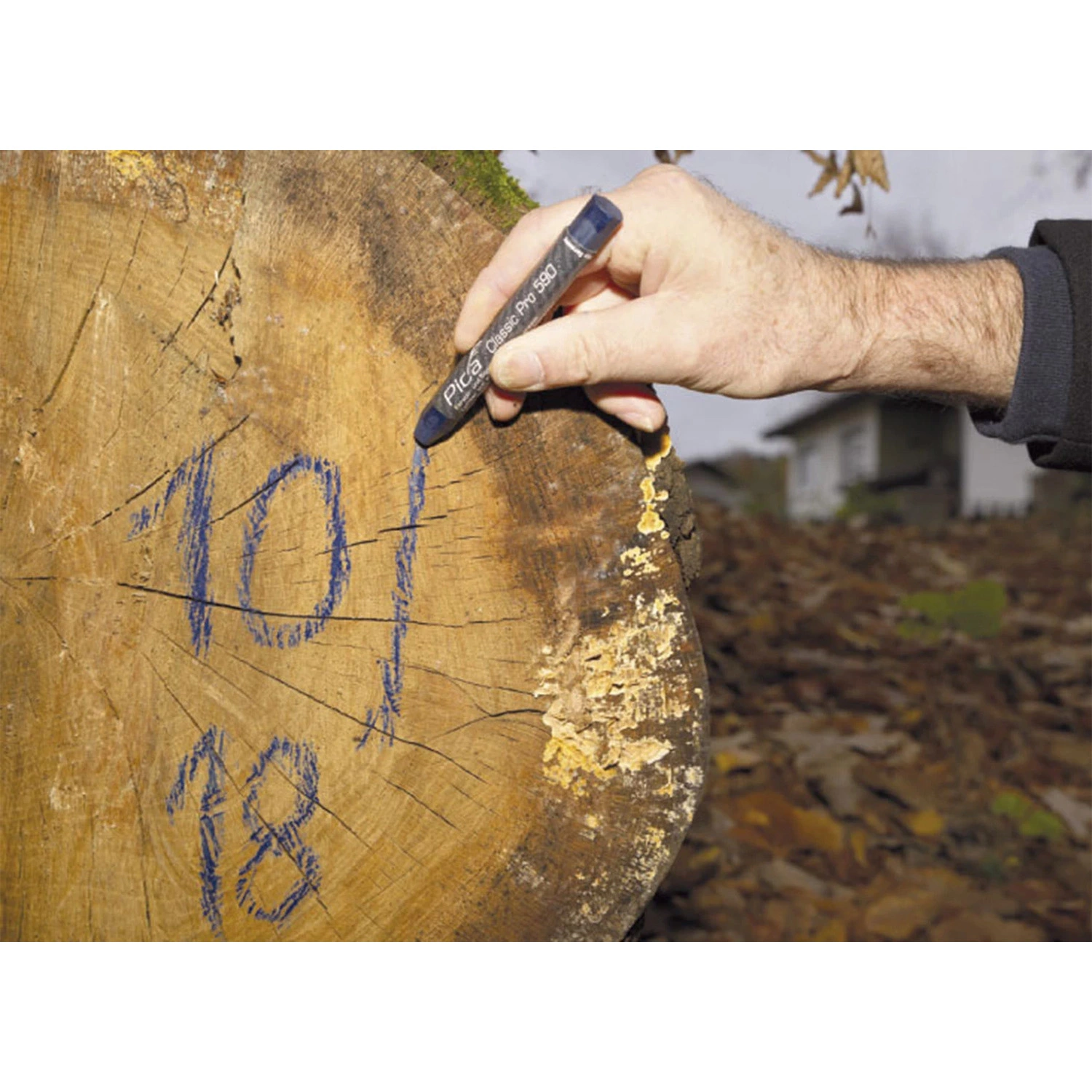 Pica 590/41 Marqueur Crayon Pro - Bleu - 12x120mm (12pcs)-image