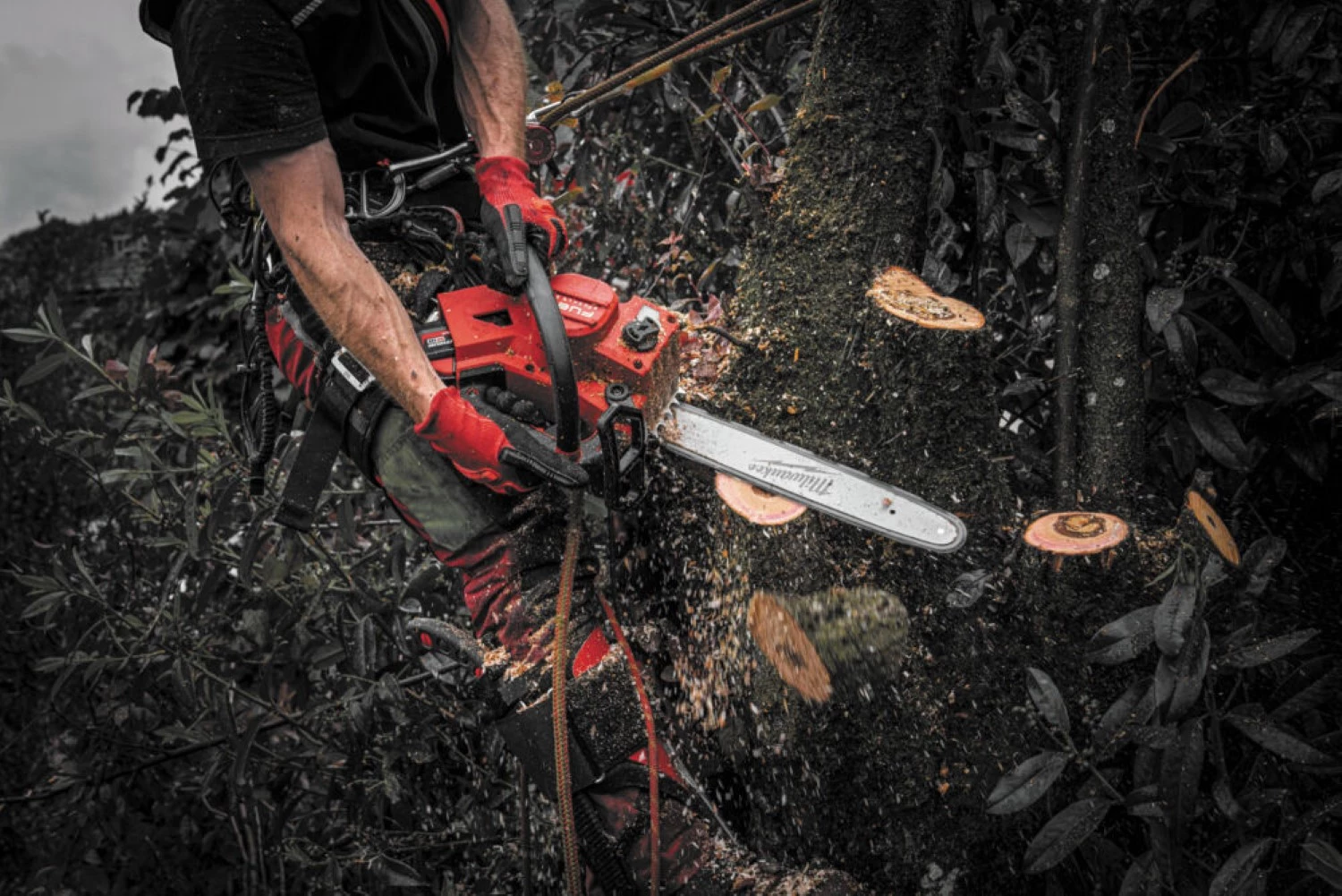 Milwaukee M18 FTCHS35-122 FUEL™ 18V Li-Ion accu kettingzaag set (2x 12.0Ah) - 35 cm-image