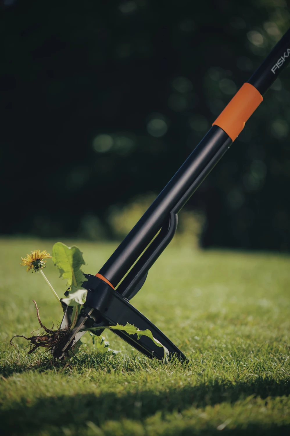 Fiskars 139950 Xact Onkruidsteker-image