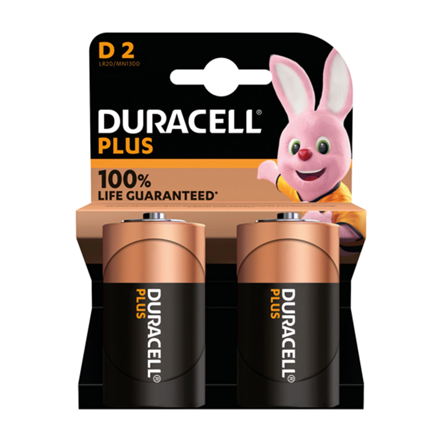 Duracell 3100000829 batterij alkaline plus 100% D 2st.-image