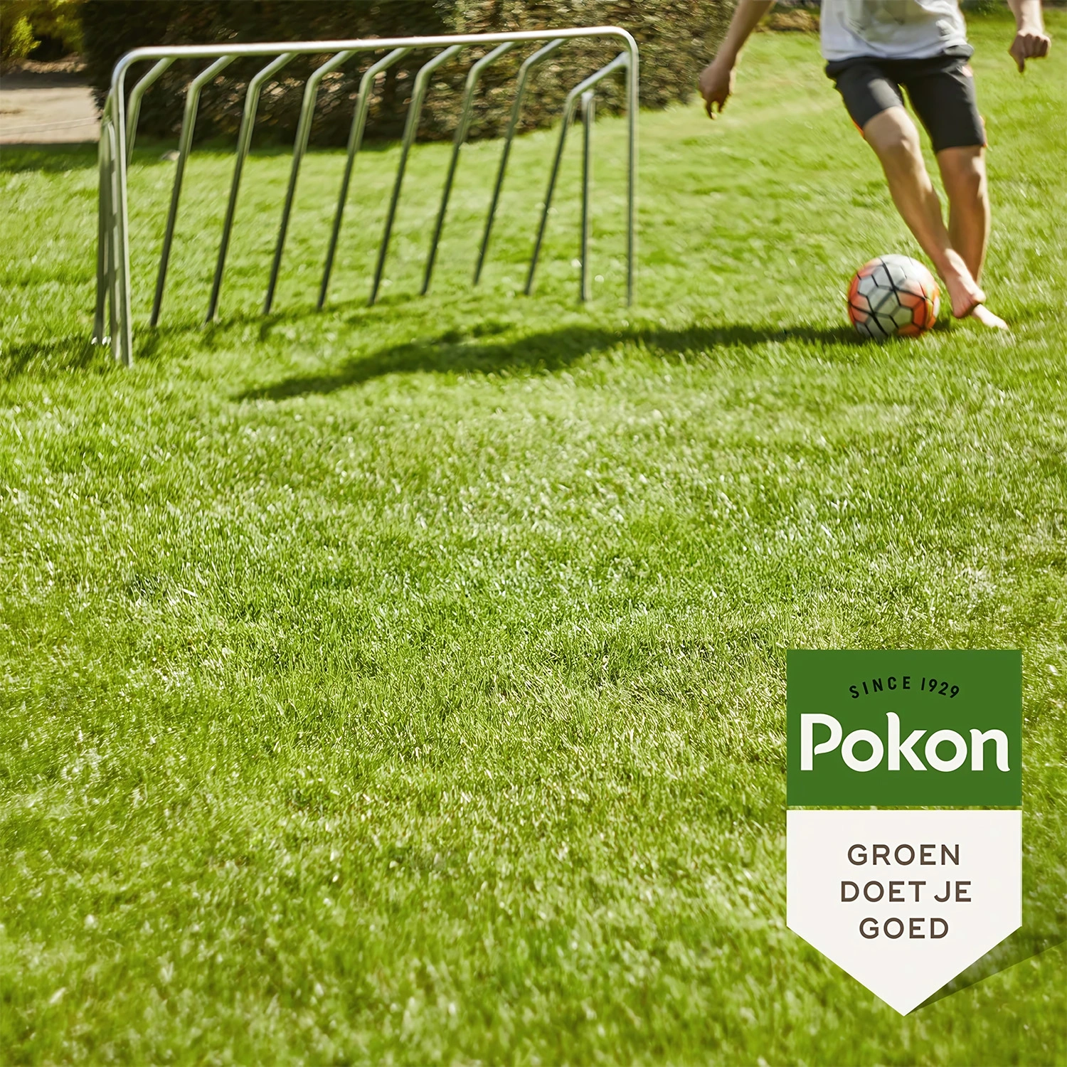 Pokon RPR Graszaad Inzaai - 500gr-image