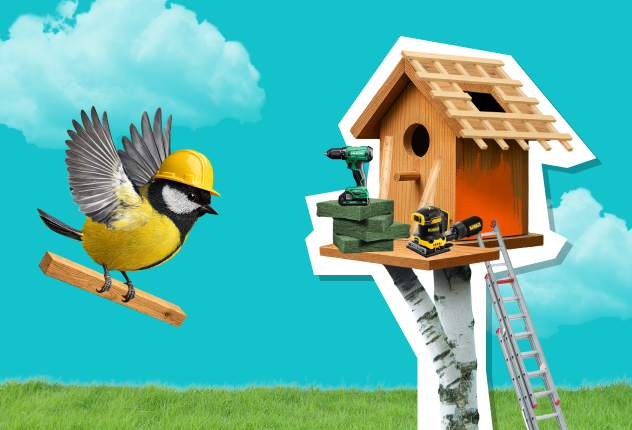 Dit weekend klussen?-image