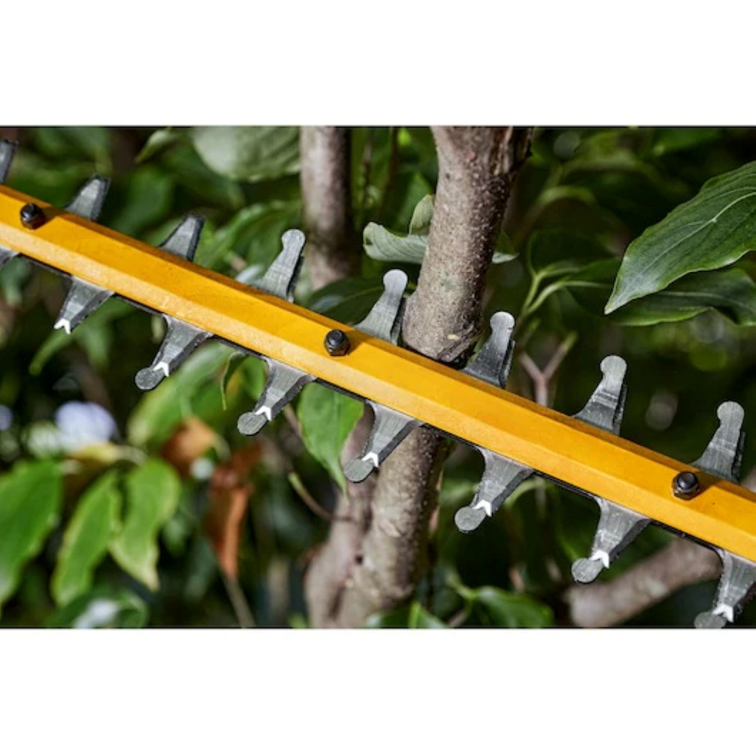 DeWALT DCMHT573X1-QW Taille-haie sans fil-image